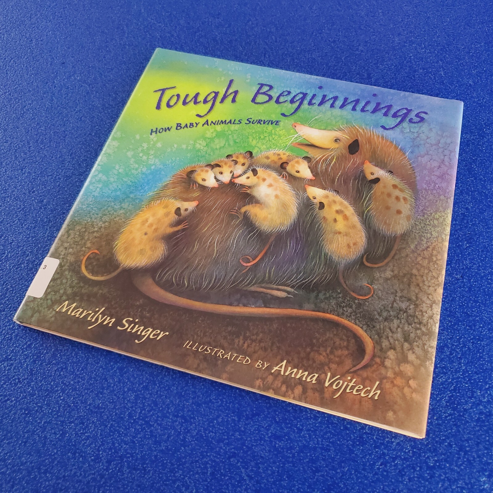 TOUGH BEGINNINGS HOW BABY ANIMALS SURVIVE HARDCOVER CHILDREN’S PICTURE BOOK
