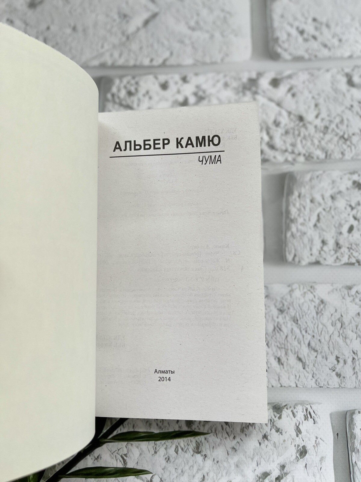 Камю Альбер Чума Book in Russian Эксклюзивная Классика на русском