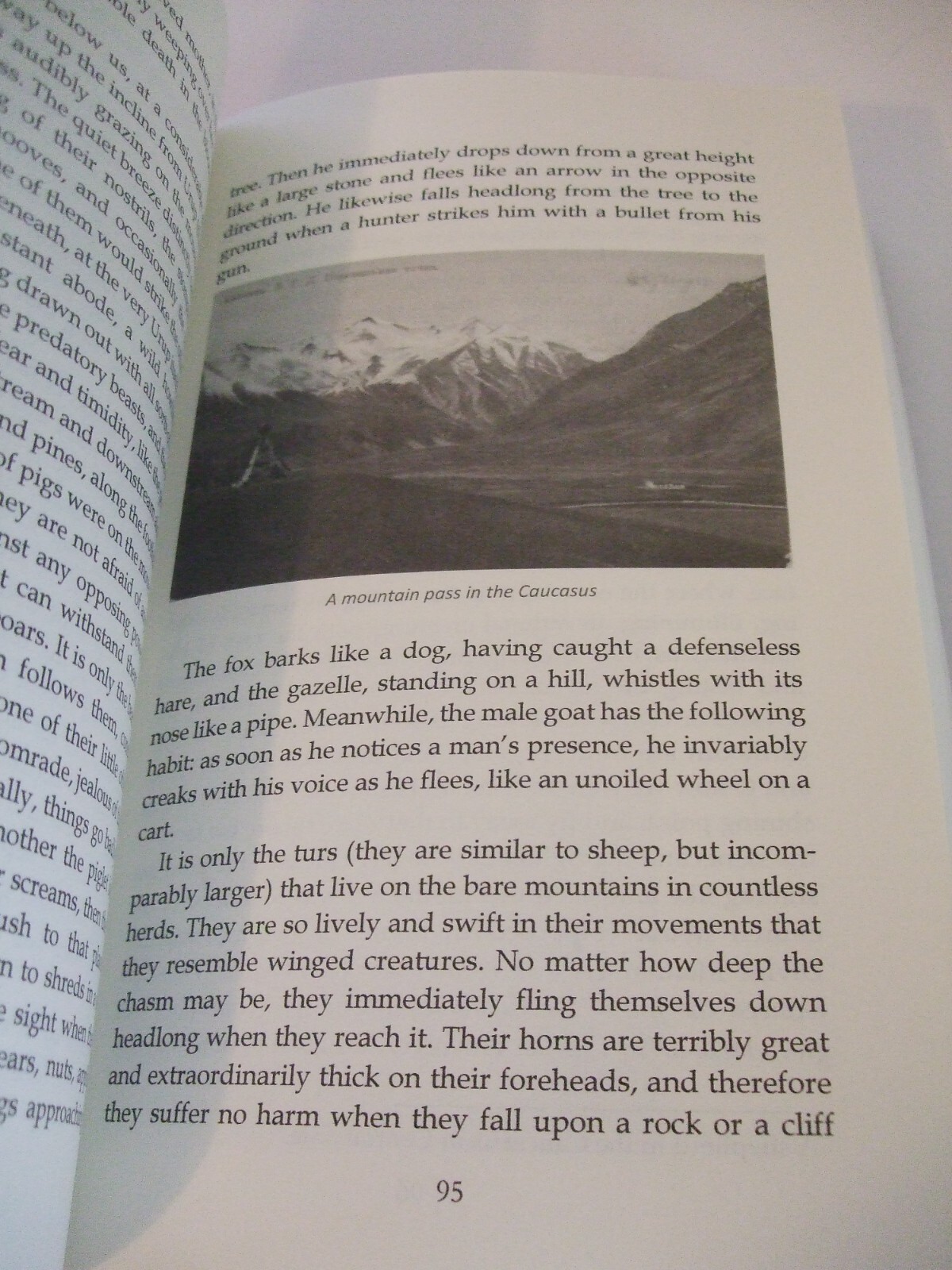 On the Mountains of the Caucasus by Schemamonk Hilarion. (Jesus Prayer) SALE