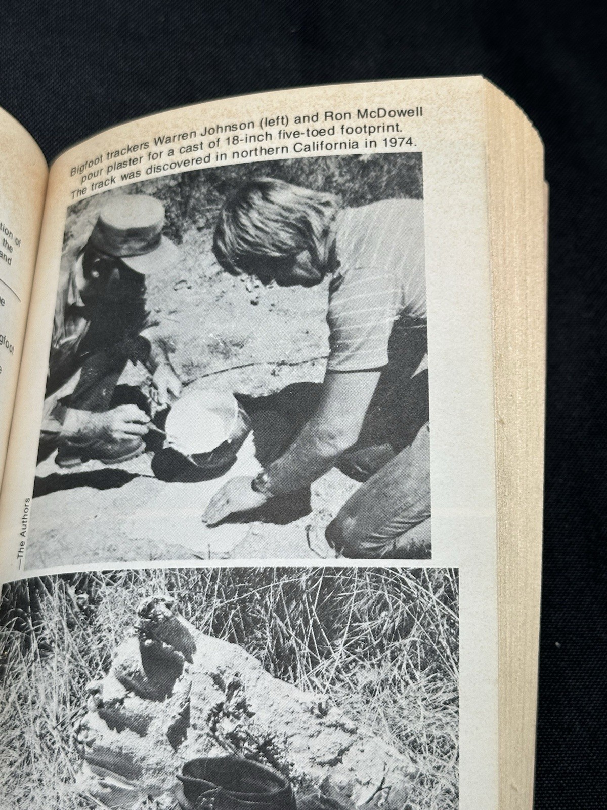 Bigfoot by B. Ann Slate and Alan Berry (1976, Trade Paperback)