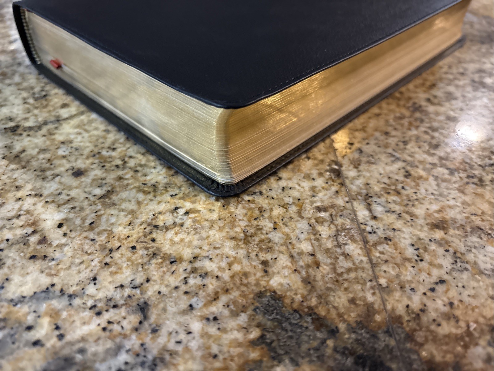 ESV Everyday Gospel Bible – Black Genuine Leather Paul David Tripp Crossway