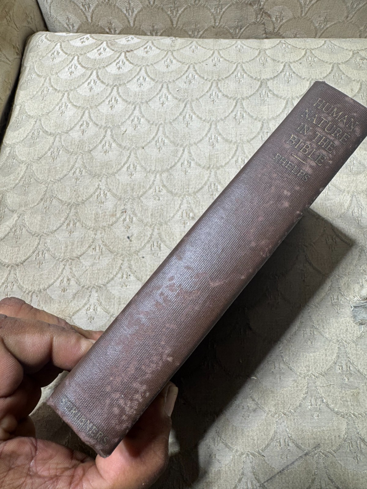 1923 Human Nature In The Bible Book By William Lyon Phelps