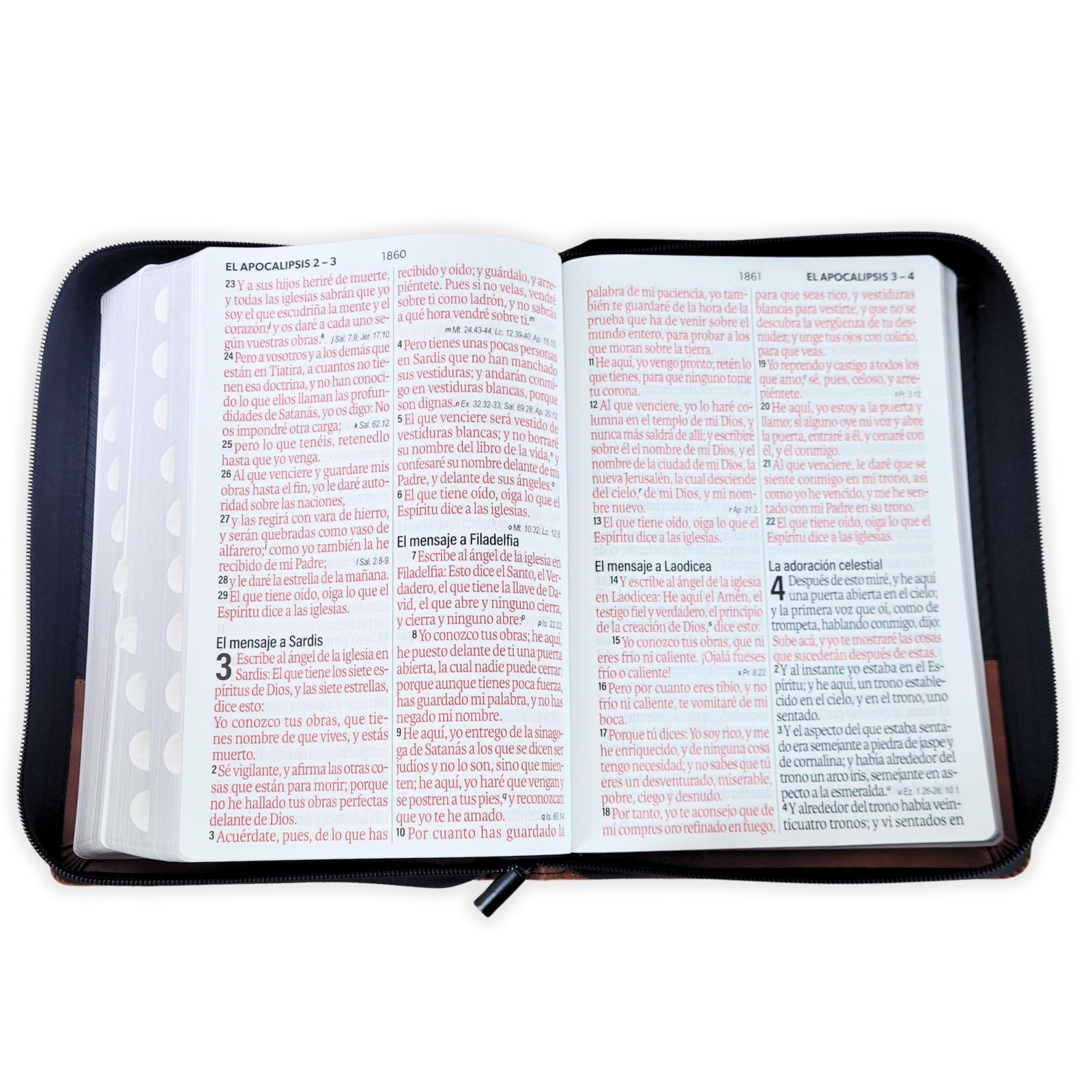 Biblia con Cierre Letra Super Gigante 19 puntos Mediana RV60 duotono con indice