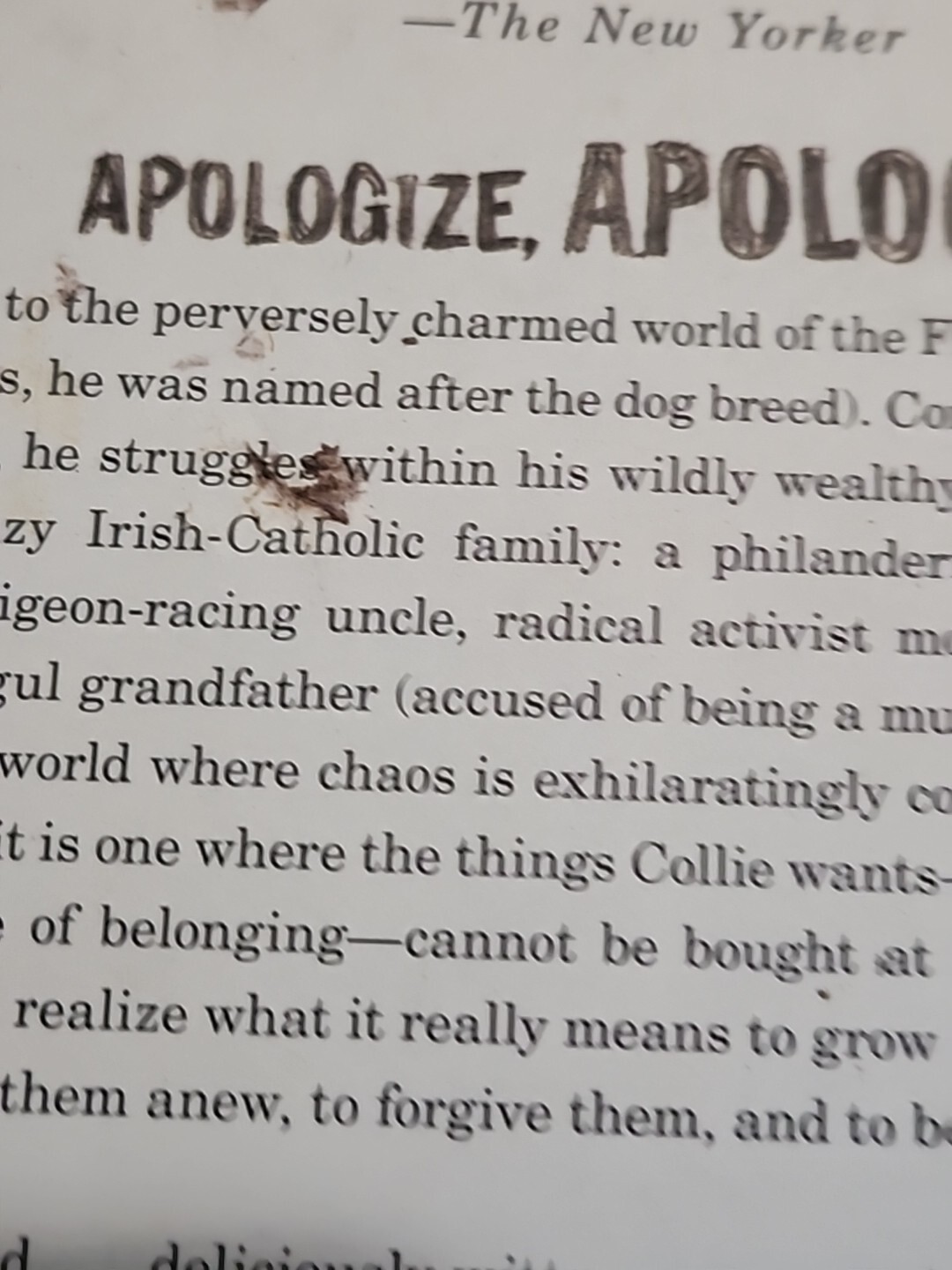 Apologize, Apologize! by Elizabeth Kelly (2010, Trade Paperback)