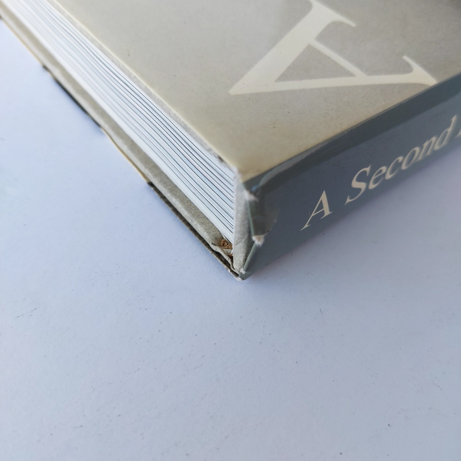 A Second Decade Of Guess? Images 1991-2001 Hardcover By Paul Marciano