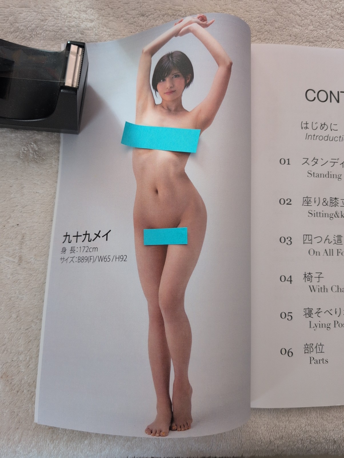 Absolute Super Natural Painting & Drawing Pose Book Japanese Idol Mei Tsukumo