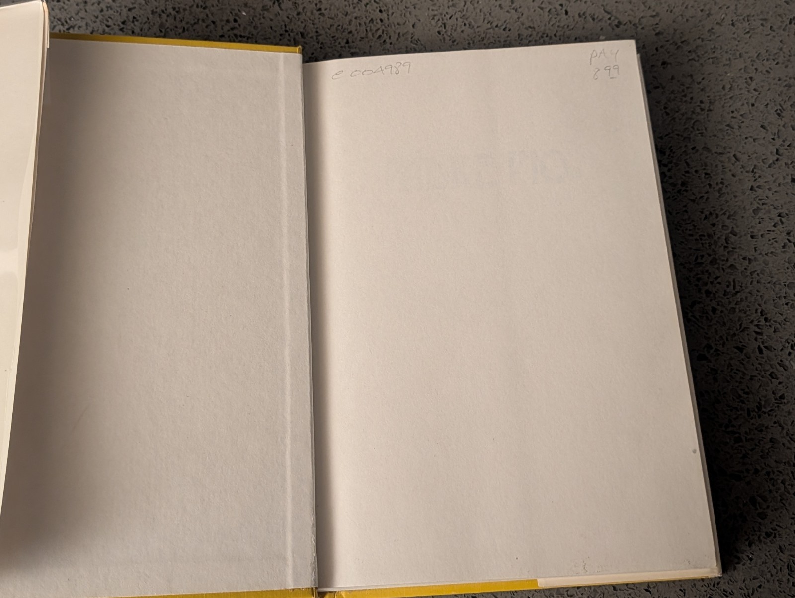 cay padre pio: the true story book, by c. bernard ruffin, 1982 Hardcover