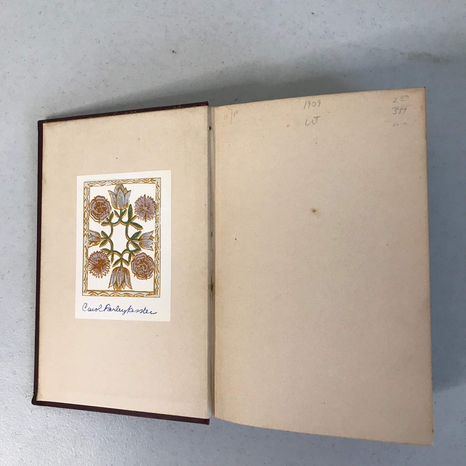 Ellen Glasgow: The Romance Of A Plain Man 1909 & The Battle Ground 1902