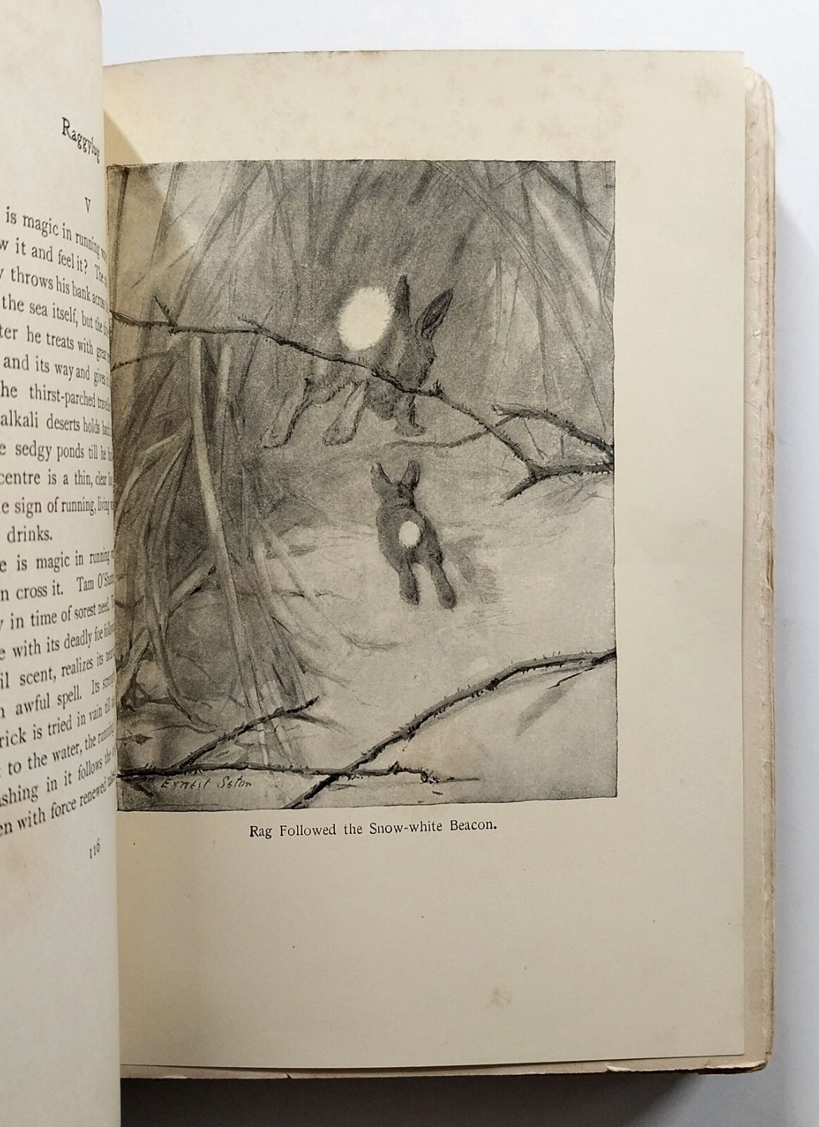Wild Animals I Have Known by Ernest Thompson Seton HC 20th Impression 1906