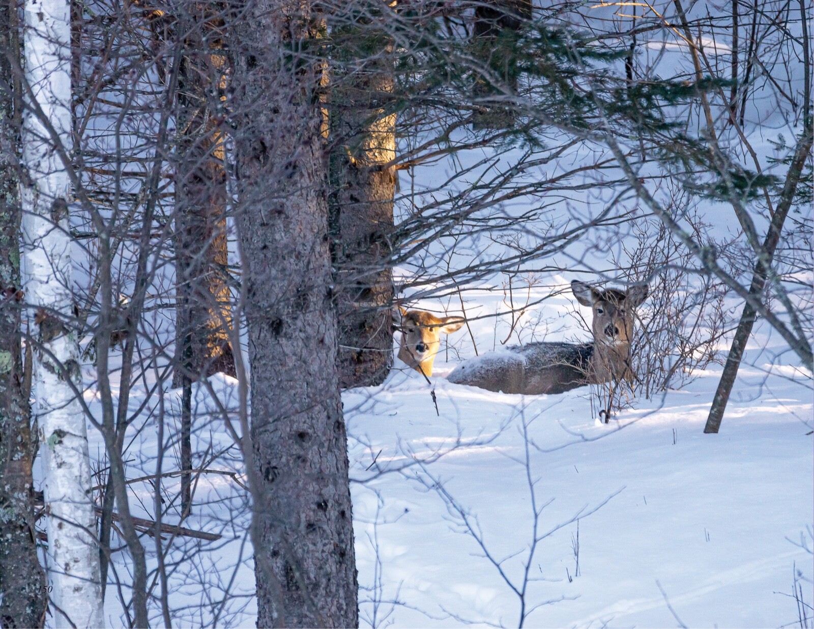 America’s Lake Vermilion – Its Seasons, Stories & Spirit