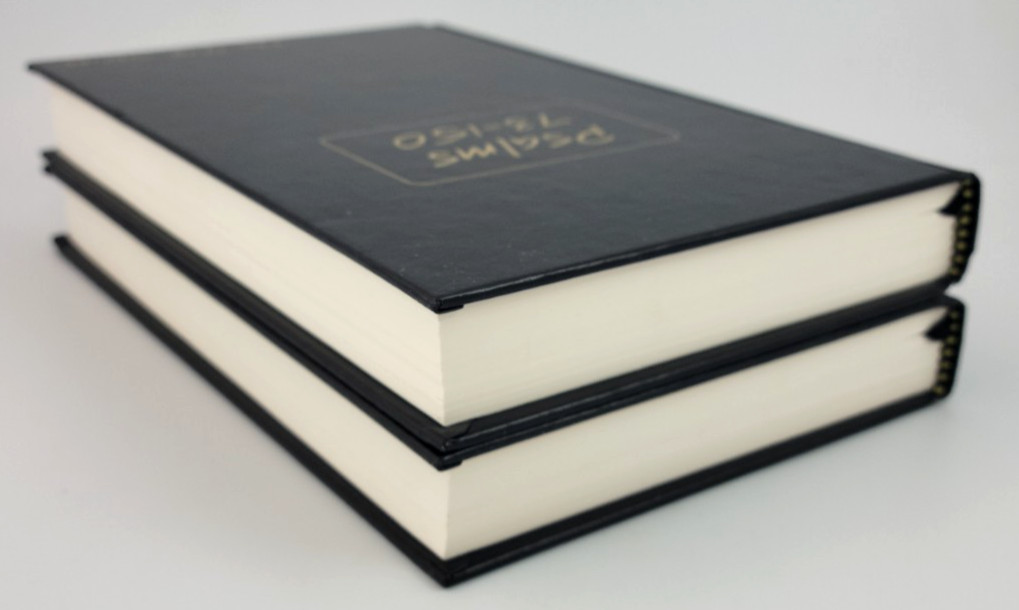 Psalms 2 Vol Set Journible The 17:18 Series Rob Wynalda Hardcover Bible Journal