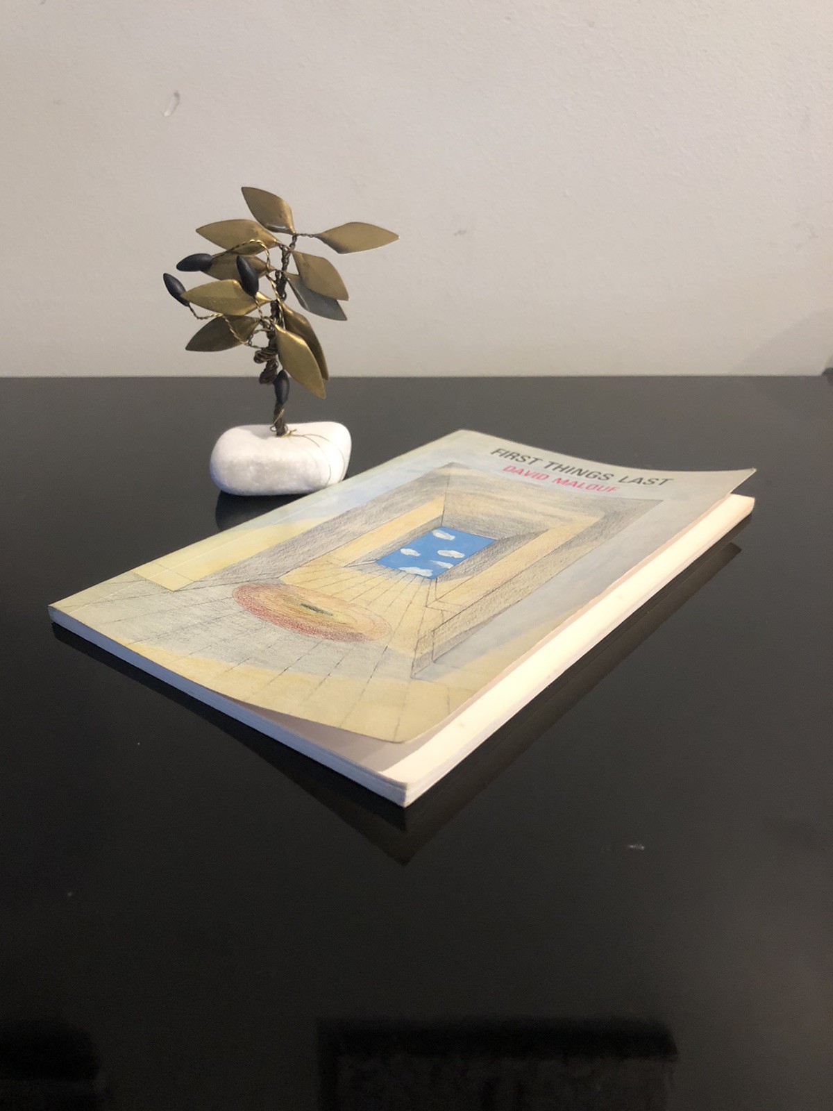 David Malouf First Things Last UQP 1980 First Ed/F.Print S/C V/G Sh.St. Poems-Pr