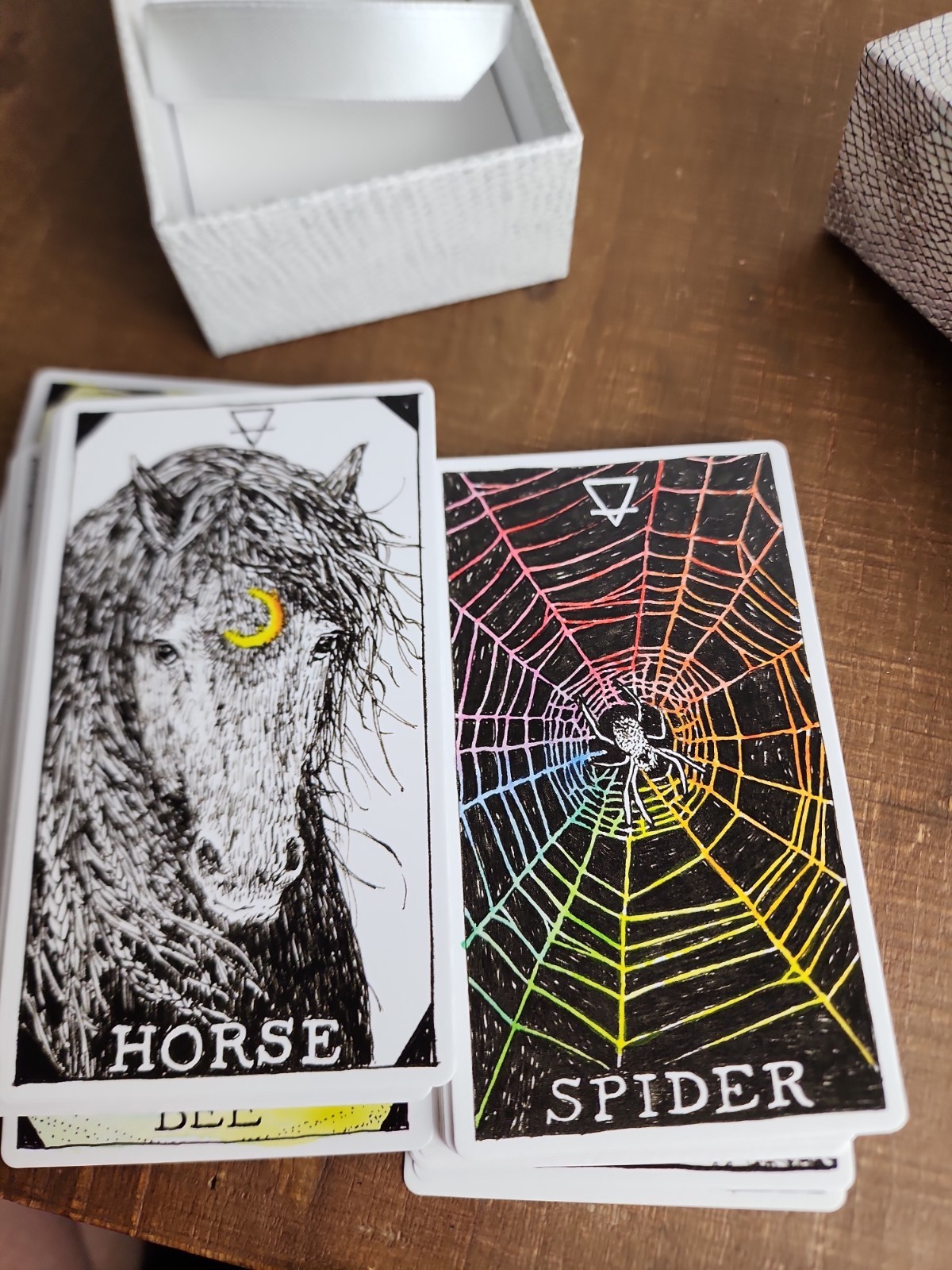 The Wild Unknown Animal Spirit Kim Krans Keepsake 63 Card Oracle Deck+Guidebook