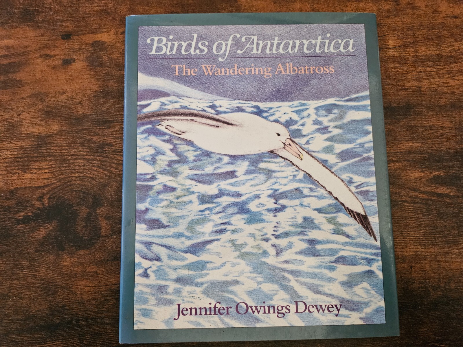 The Wandering Albatross Birds of Antarctica Jennifer Dewey Nature Book