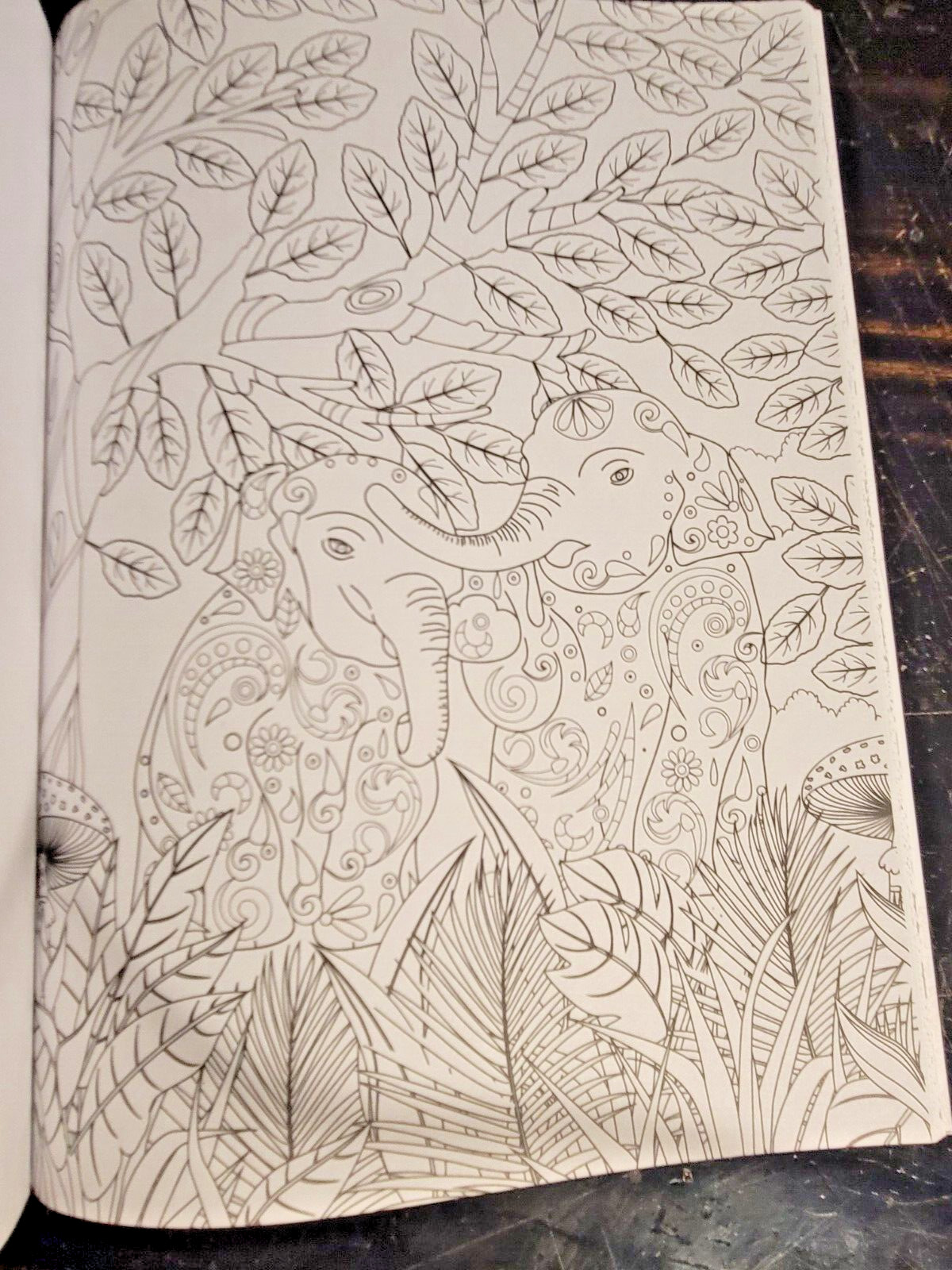 COLORS OF THE WILD! Vol. 18 Adult Coloring Book With 47 Prints Ready To Frame!