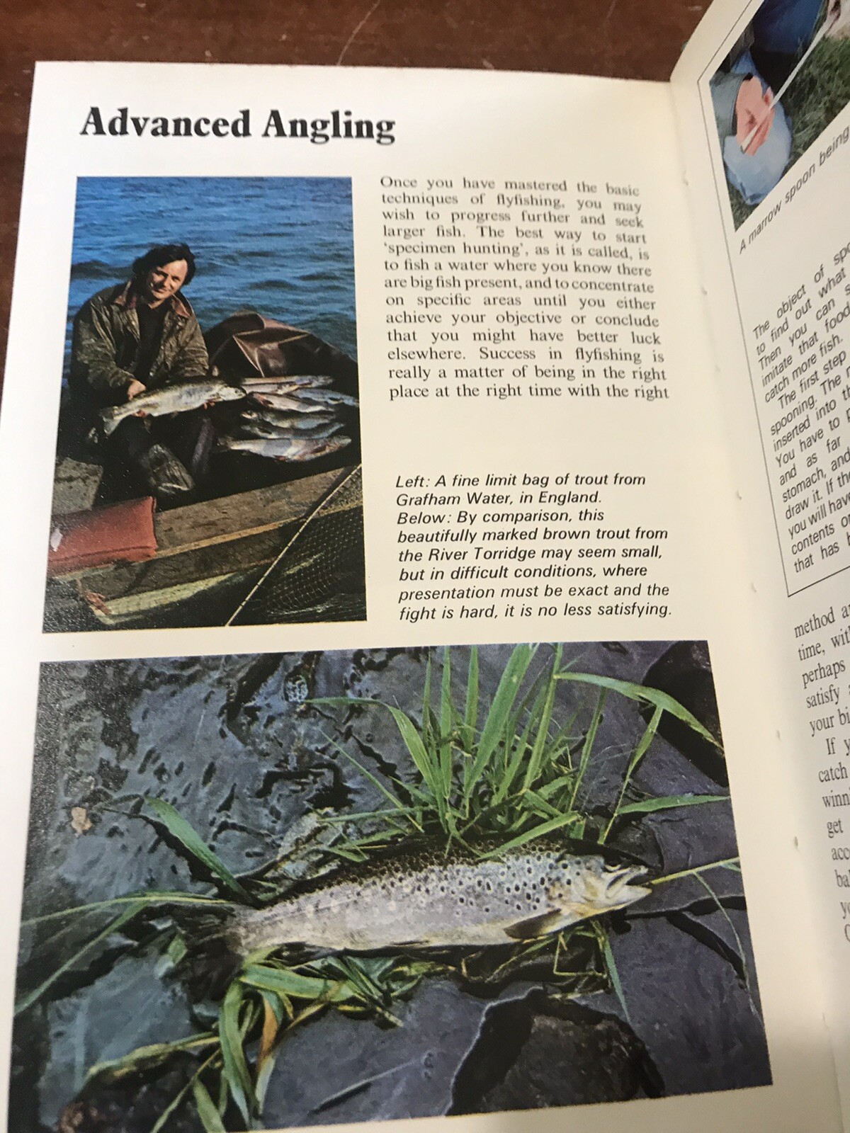 Flyfishing Guide Book Brian Furzer 1st Edition 1980 Hardcover