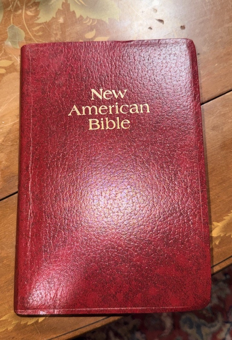New American Bible Official Catholic Bible Red Letter Edition World Press 2402BG