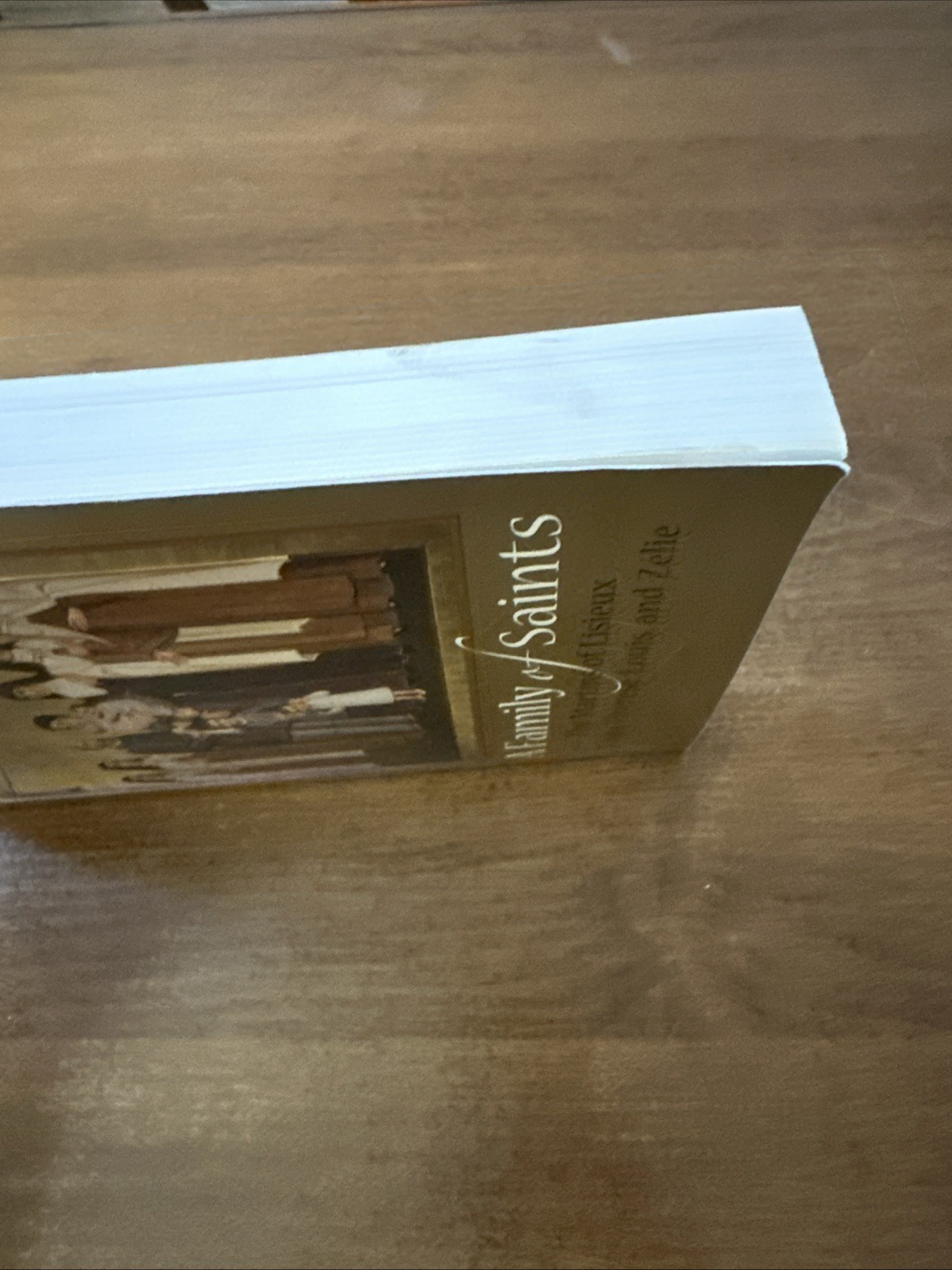 A Family of Saints: The Martins of Lisieux–Saints Thérèse, Louis, and Zélie GOOD