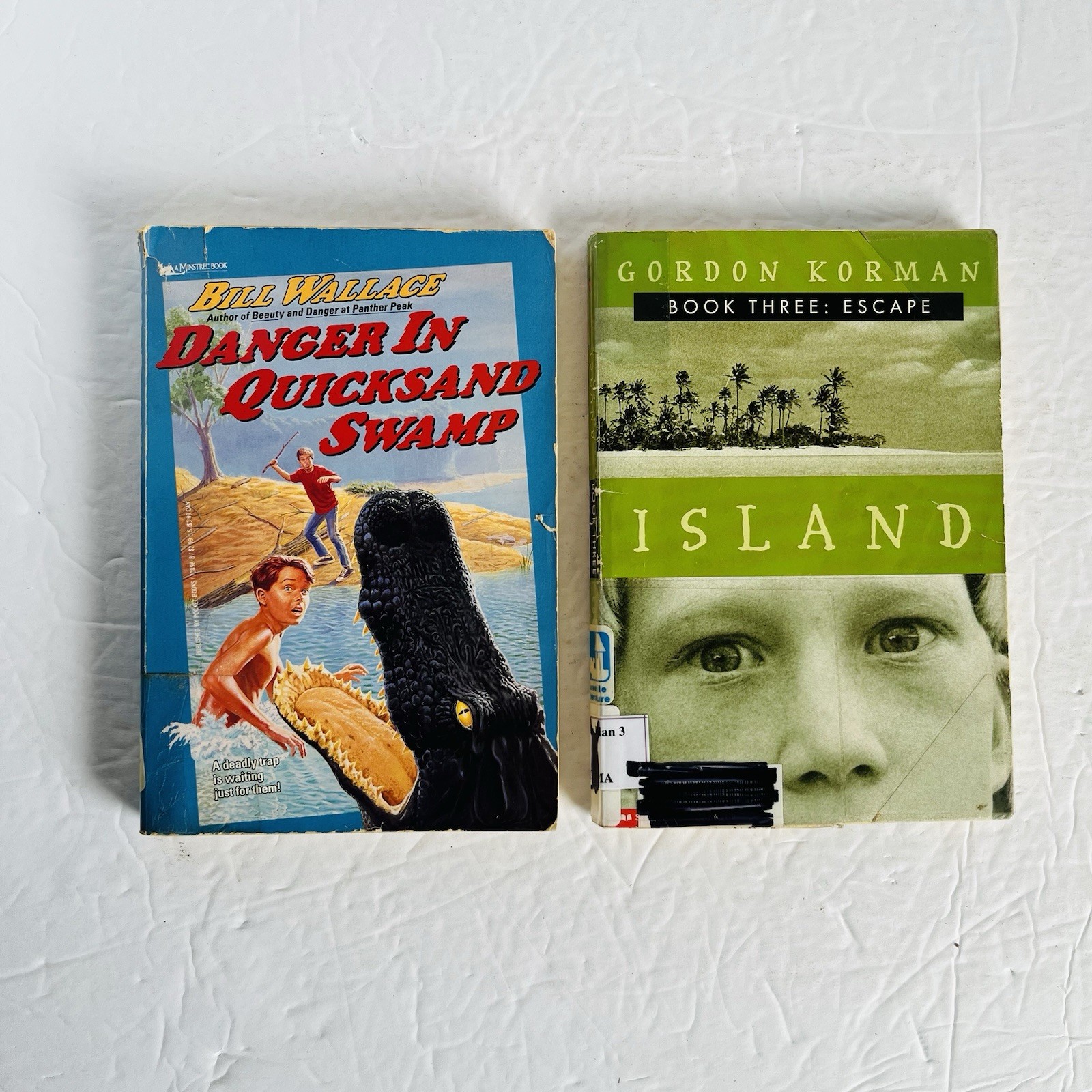 Lot of 10 Random 4th grade Children’s Kids Chapter Book Some series Elementary