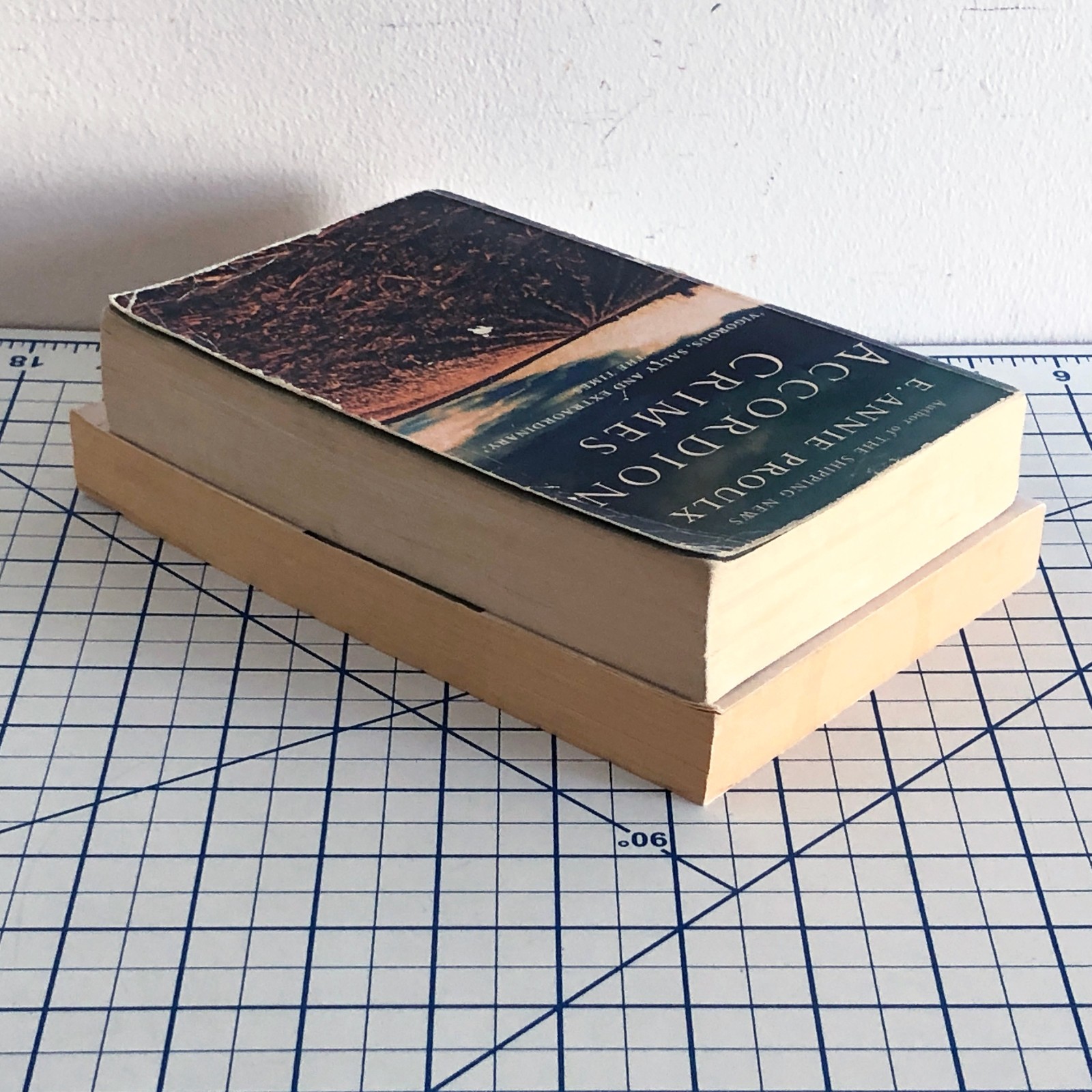 Lot of 2 by E. Annie Proulx: Accordion Crims, The Shipping News – Paperback