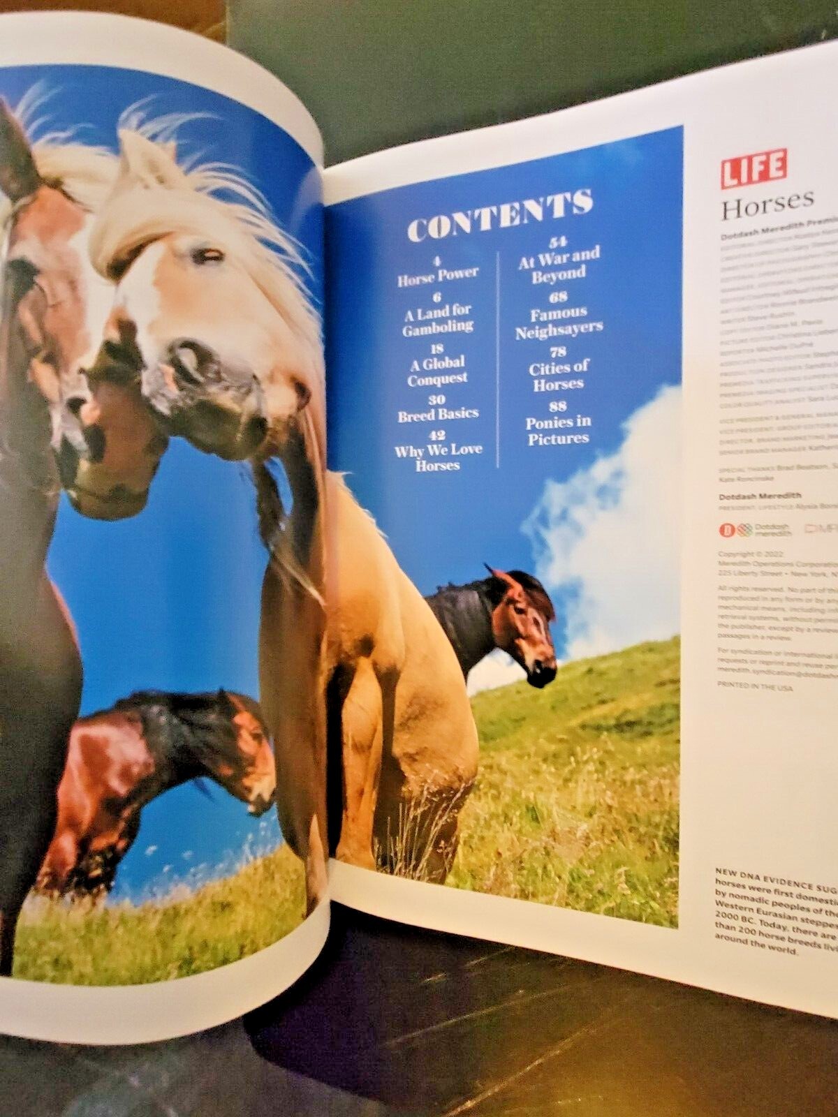 HORSES by LIFE The World’s Most Beautiful Animal – Plus Why We Love Horses
