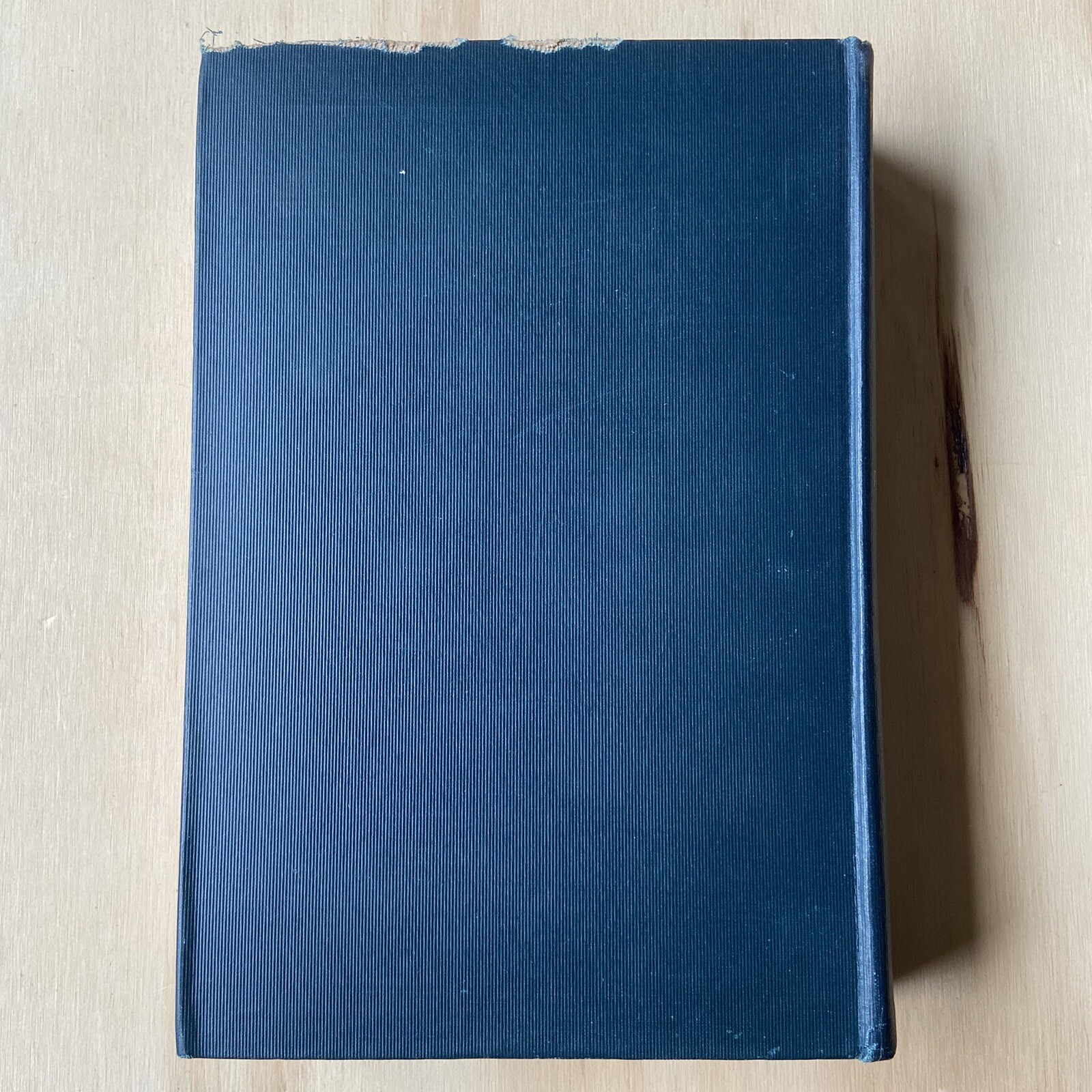 Renascence Portraits Paul Van Dyke 1905 First Edtion