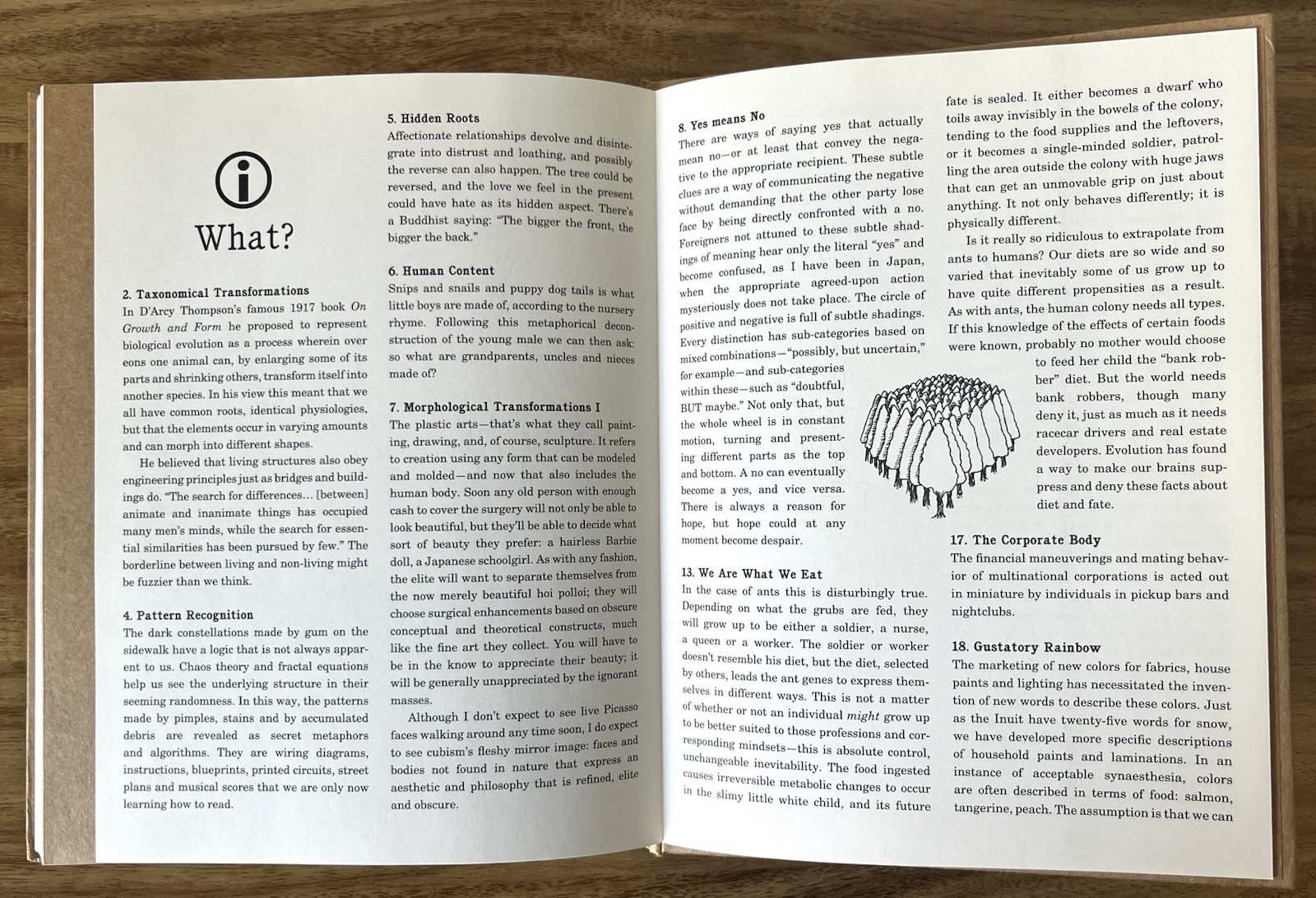 David Byrne Arboretum McSweeney’s 2006 Conceptual Art Book Illustrated