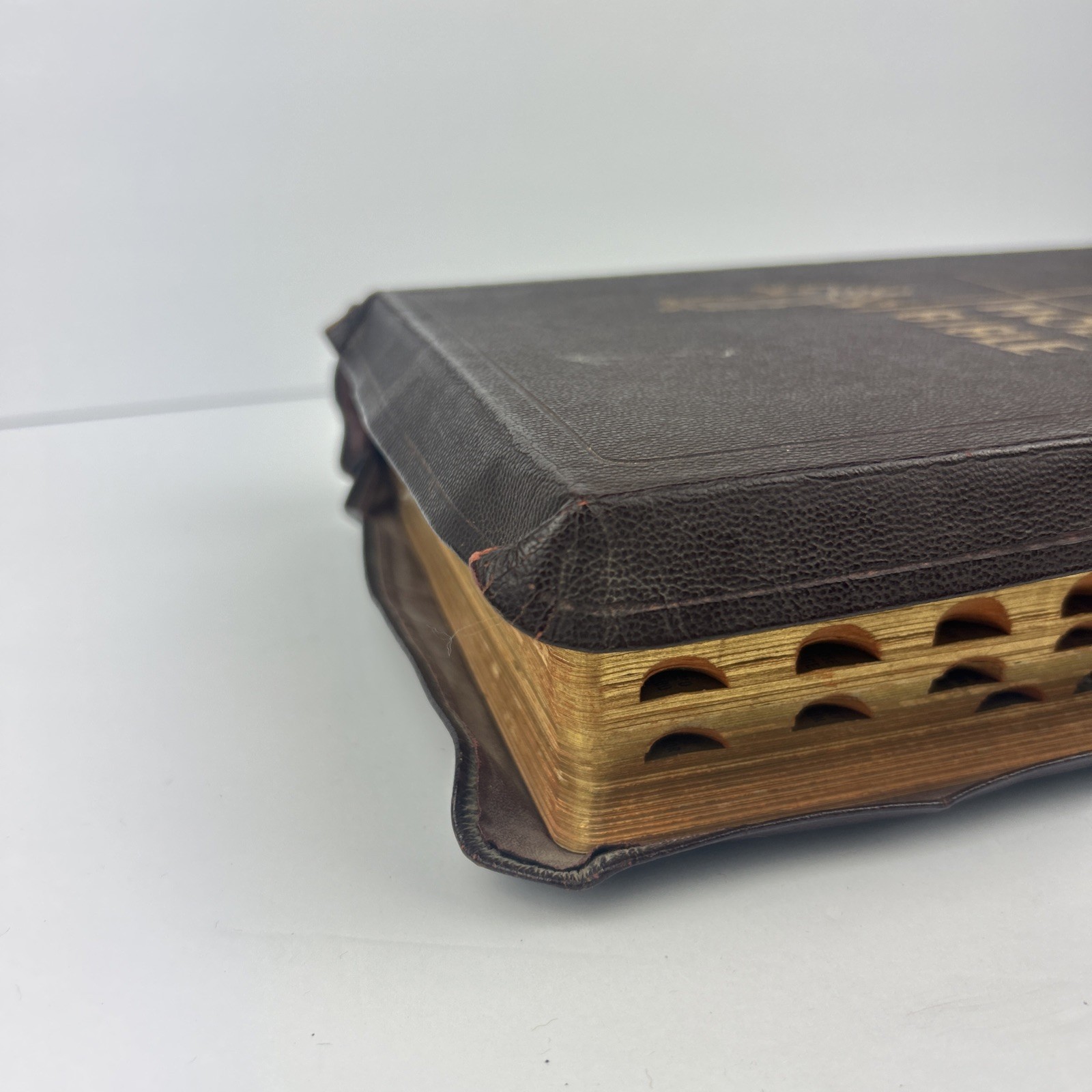 The Holy Bible: Holy Family Edition 1950 The Catholic Press Vintage Illustrated