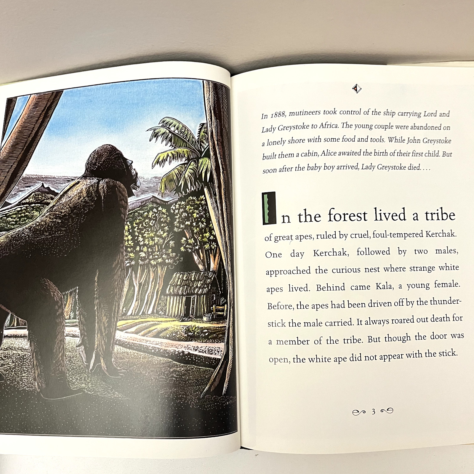 Tarzan by Robert D. San Souci 1999 Hardcover DJ Illustrated by Michael McCurdy