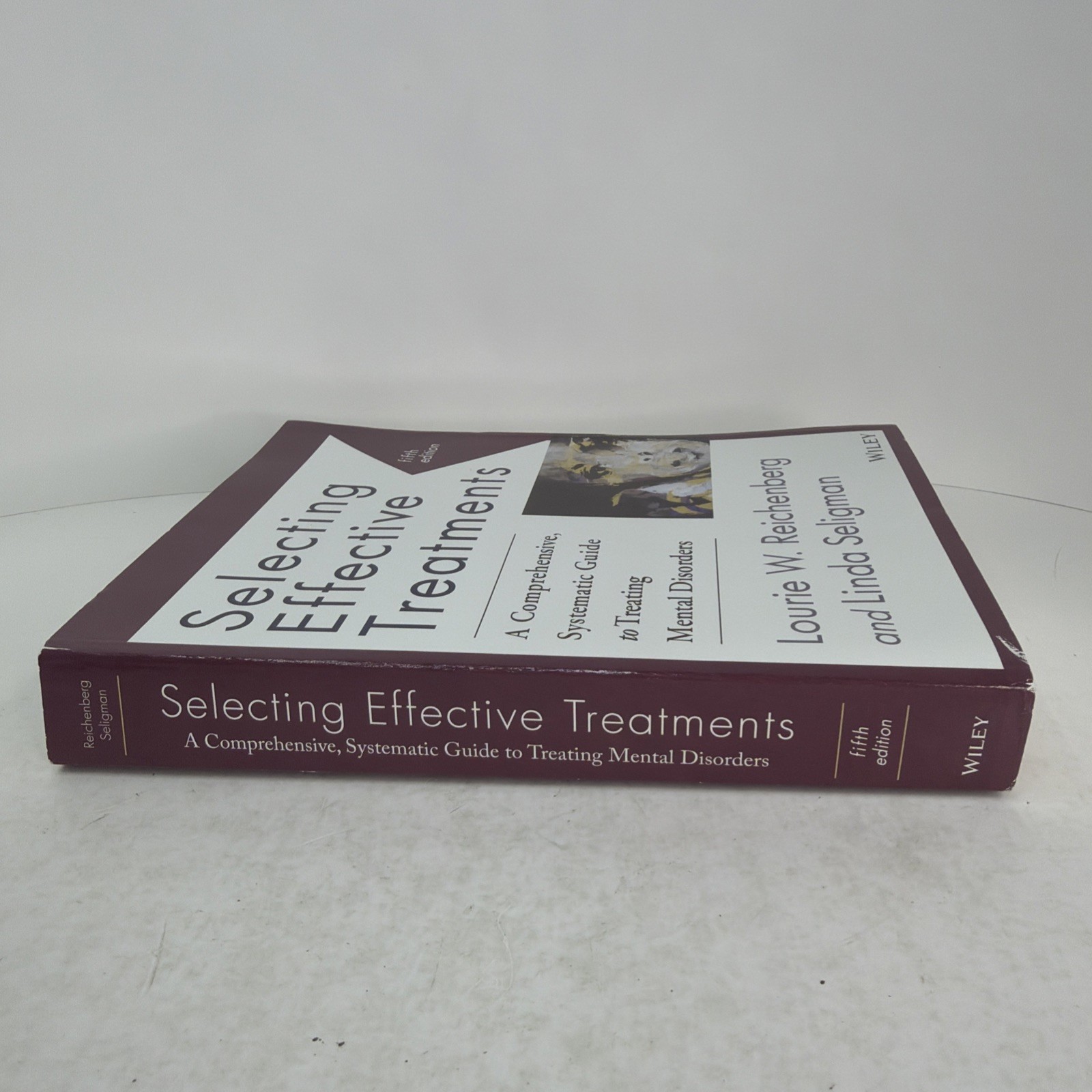 Selecting Effective Treatments: Comprehensive, Systematic Guide…5th Edition PB