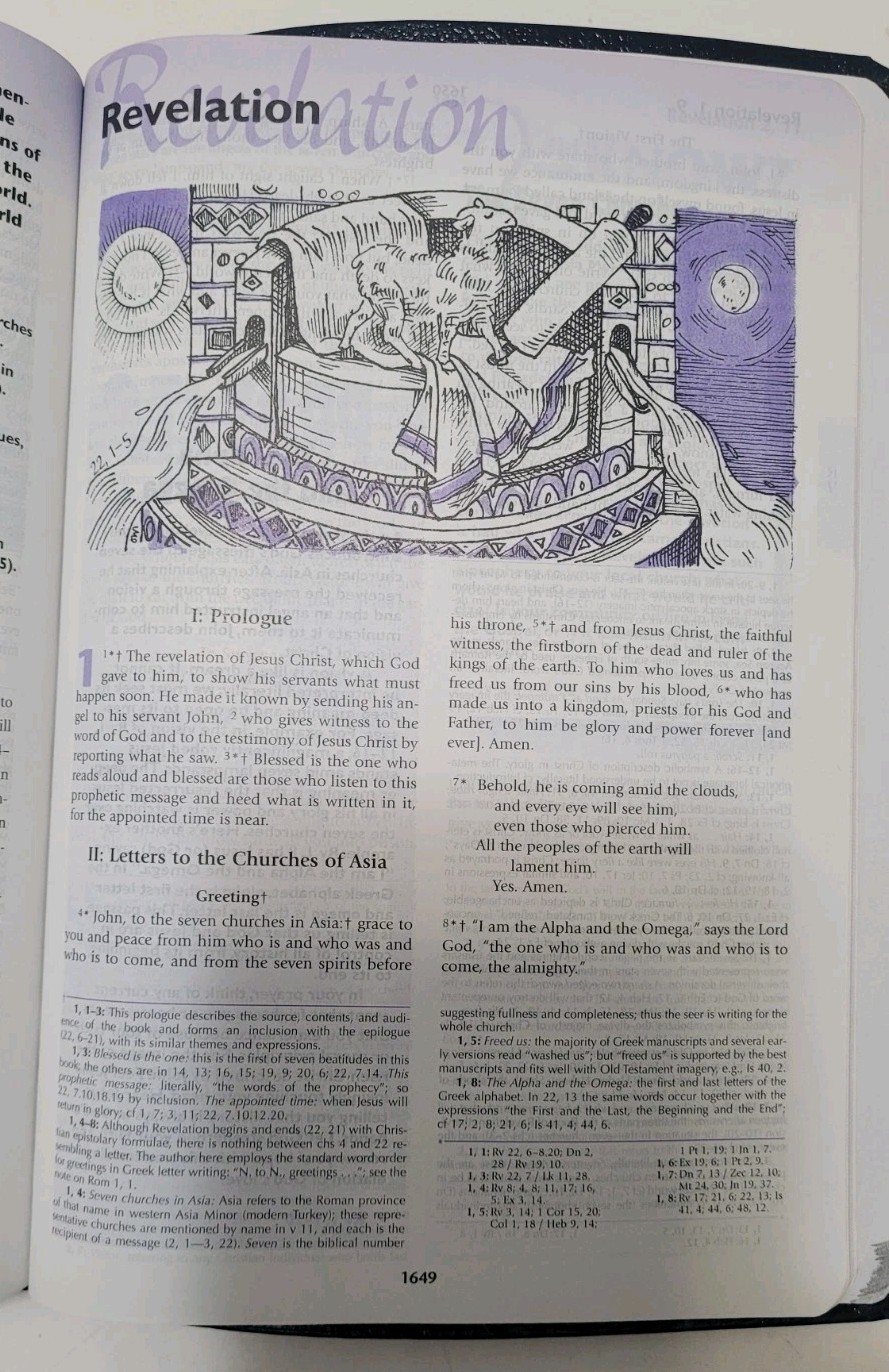 Catholic Youth Bible! In Great Shape