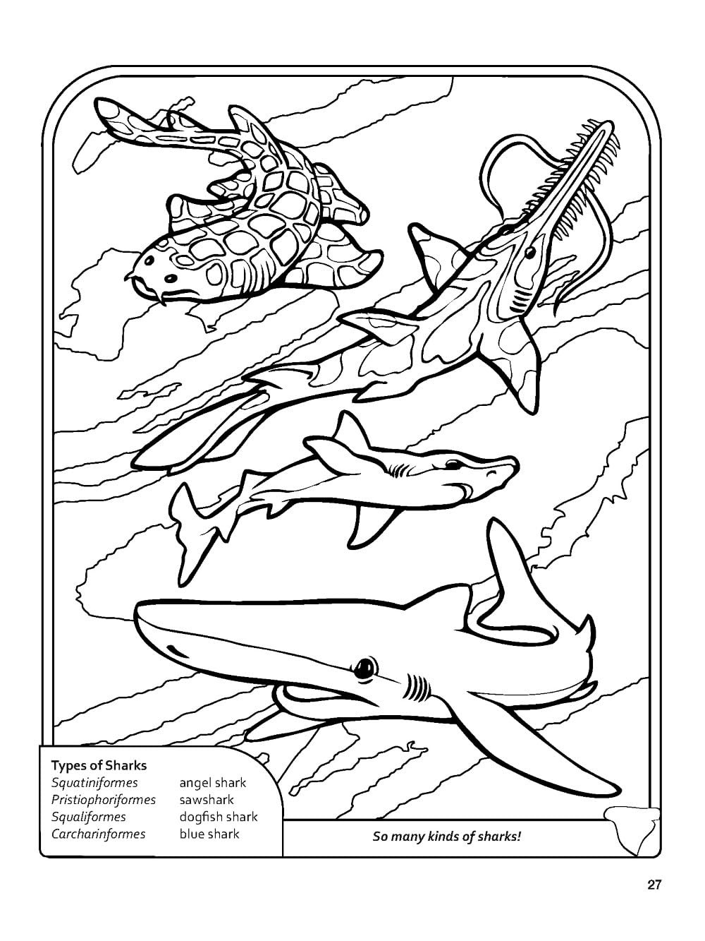 Sharks! Coloring Book (Dover Nature Coloring Book)