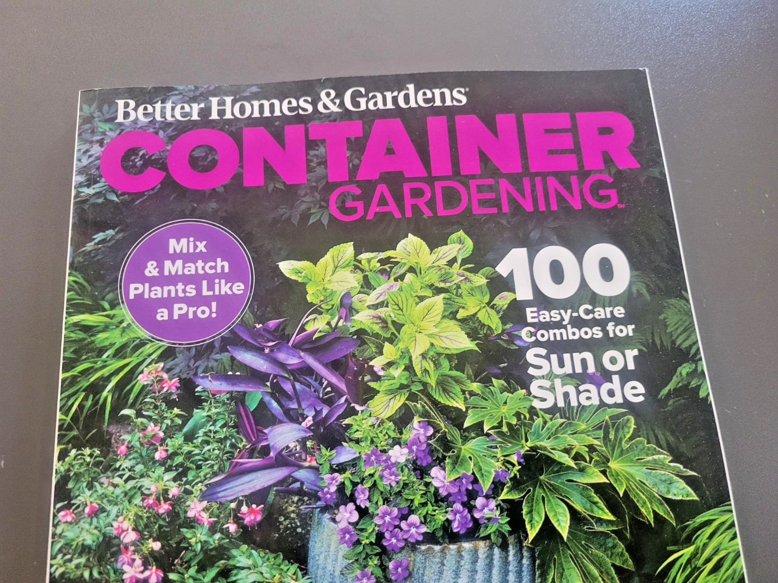 Container Gardening by BH&G – 100 Easy-Care Combos for Sun or Shade- Like A Pro