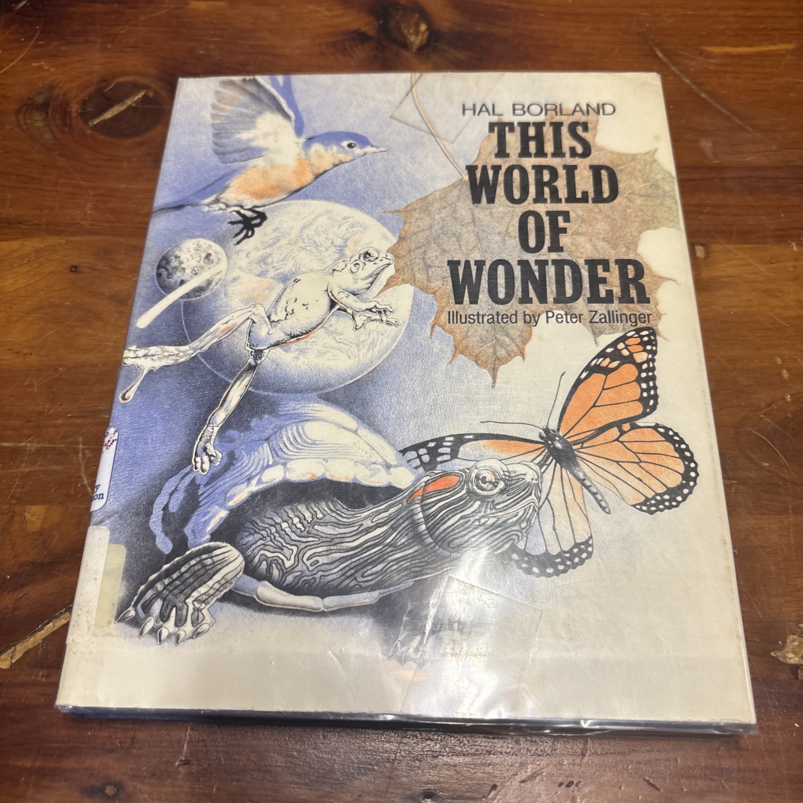 Vintage This World Of Wonder By Hal Borland, Illustrated By Peter Zallinger