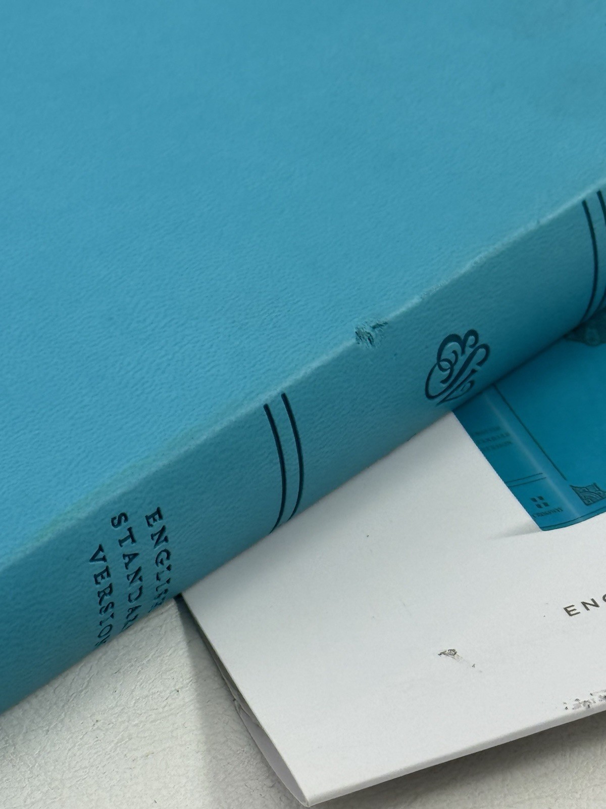 New ESV Large Print Value Thinline Bible (Trutone, Turquoise, Emblem Design)