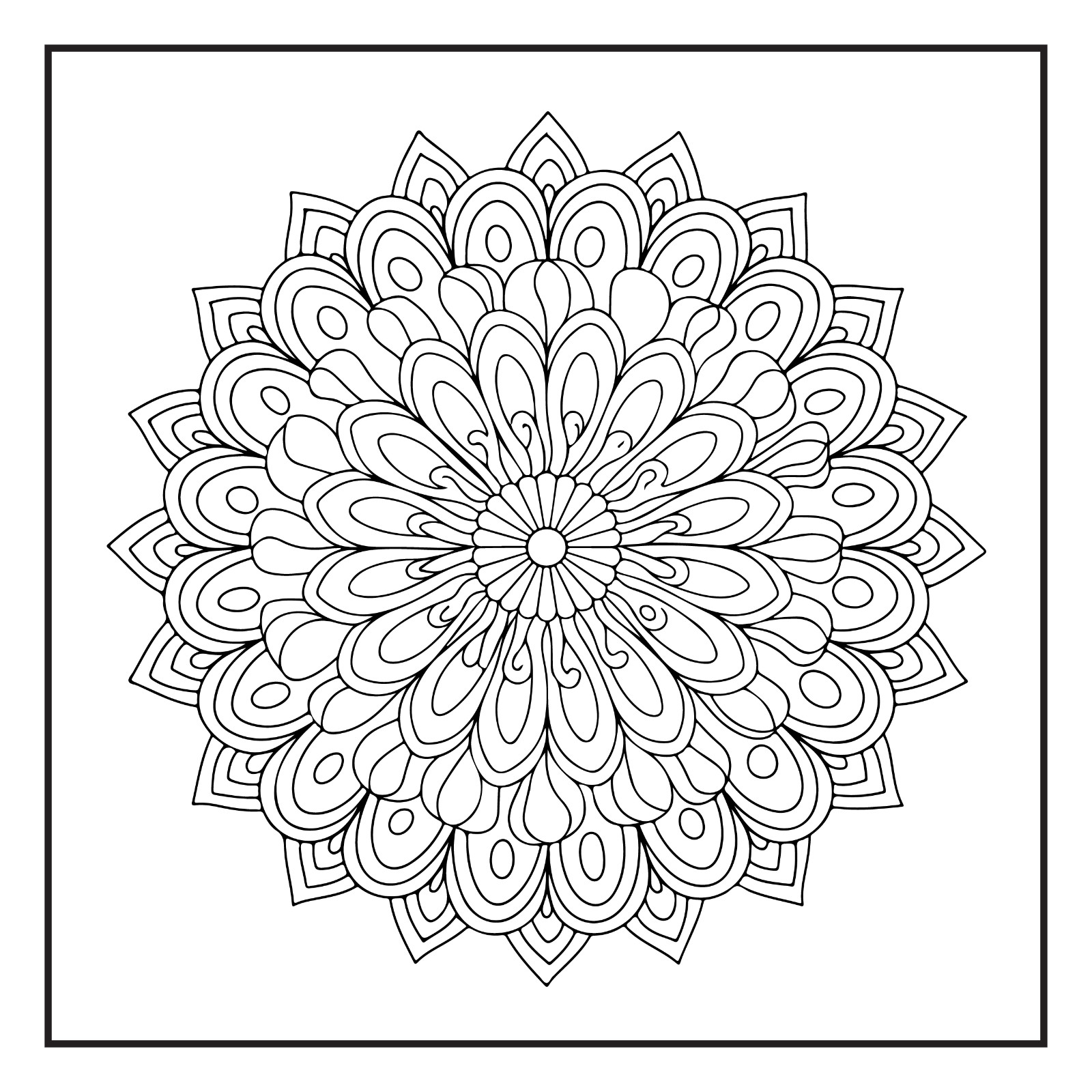 Rockridge Press Mindfulness Mandalas Coloring Book Spiral Bound Coloring Book