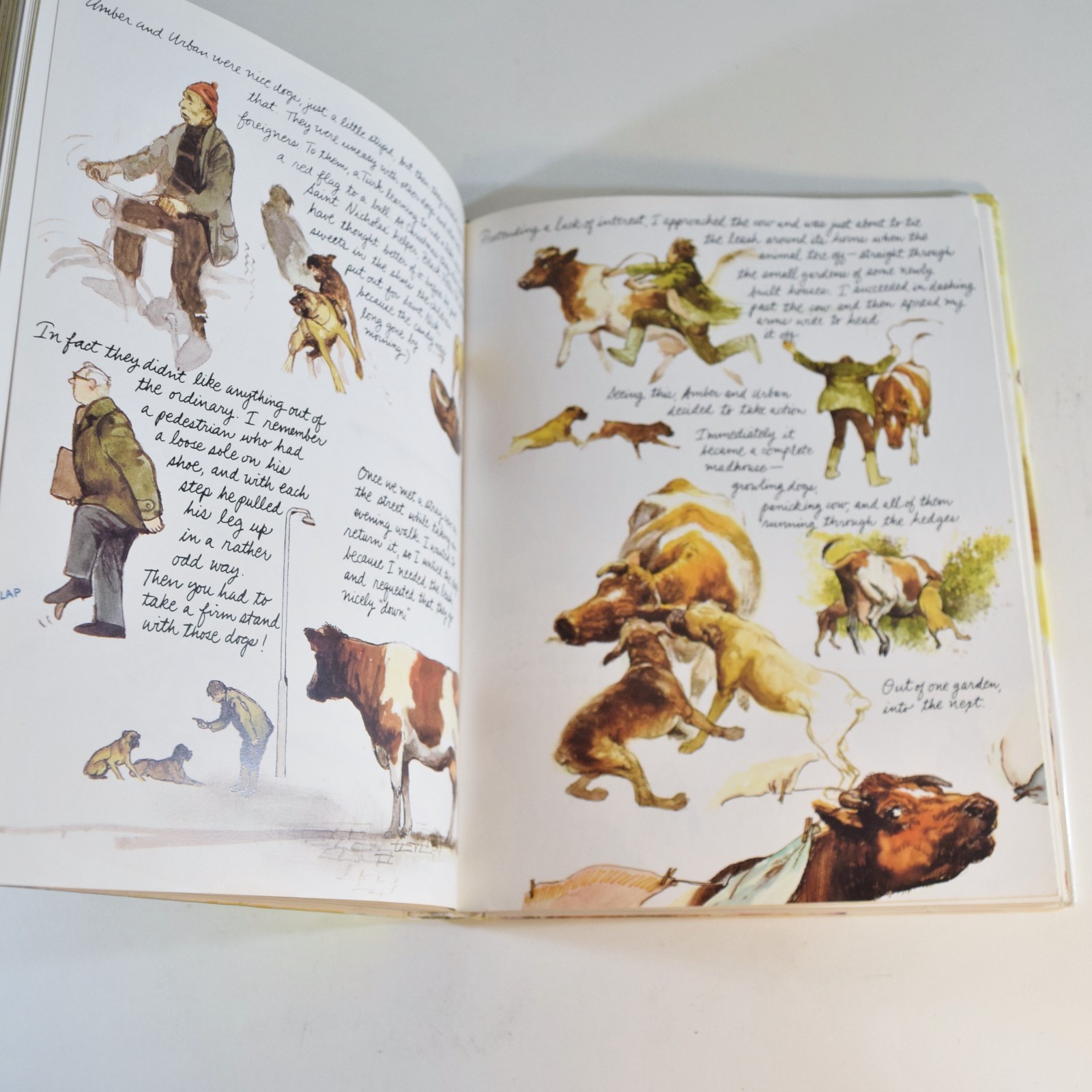 Rien Poortvliet – DOGS – Vintage 1983 Hardcover Art Book