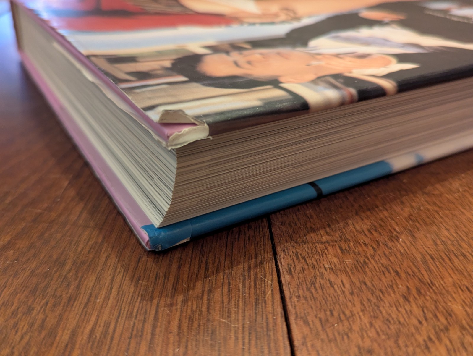 The New Erotic Photography: Hanson, Dian & Kroll, Eric- Taschen