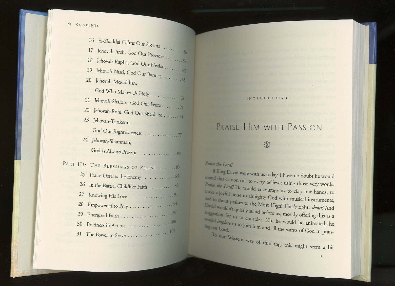 I Praise You O GOD Hard Cover Book by Michael Youssef, PH.D. 105 pages
