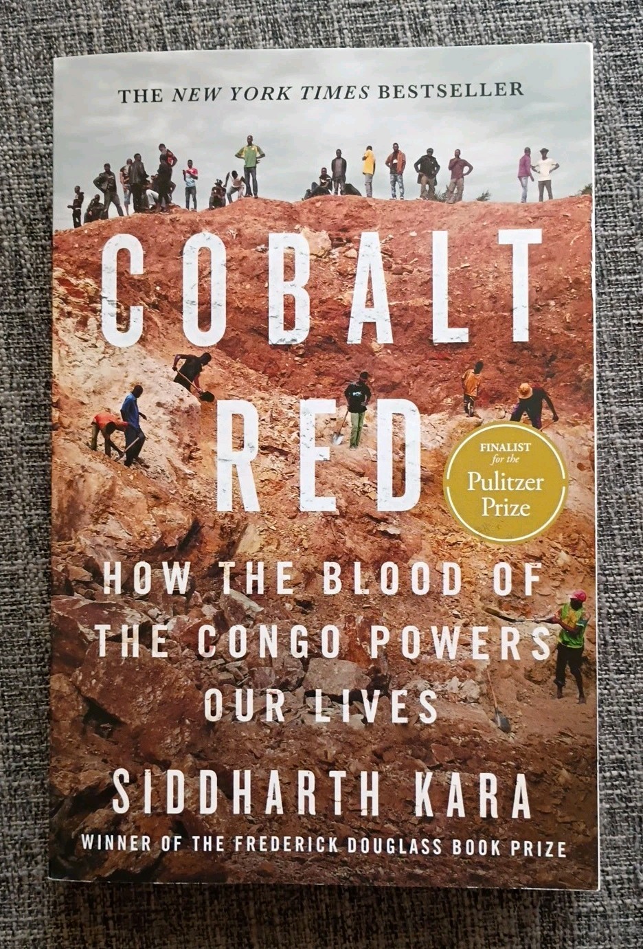 Cobalt Red: How the Blood of the Congo Powers Our Lives by Siddharth Kara