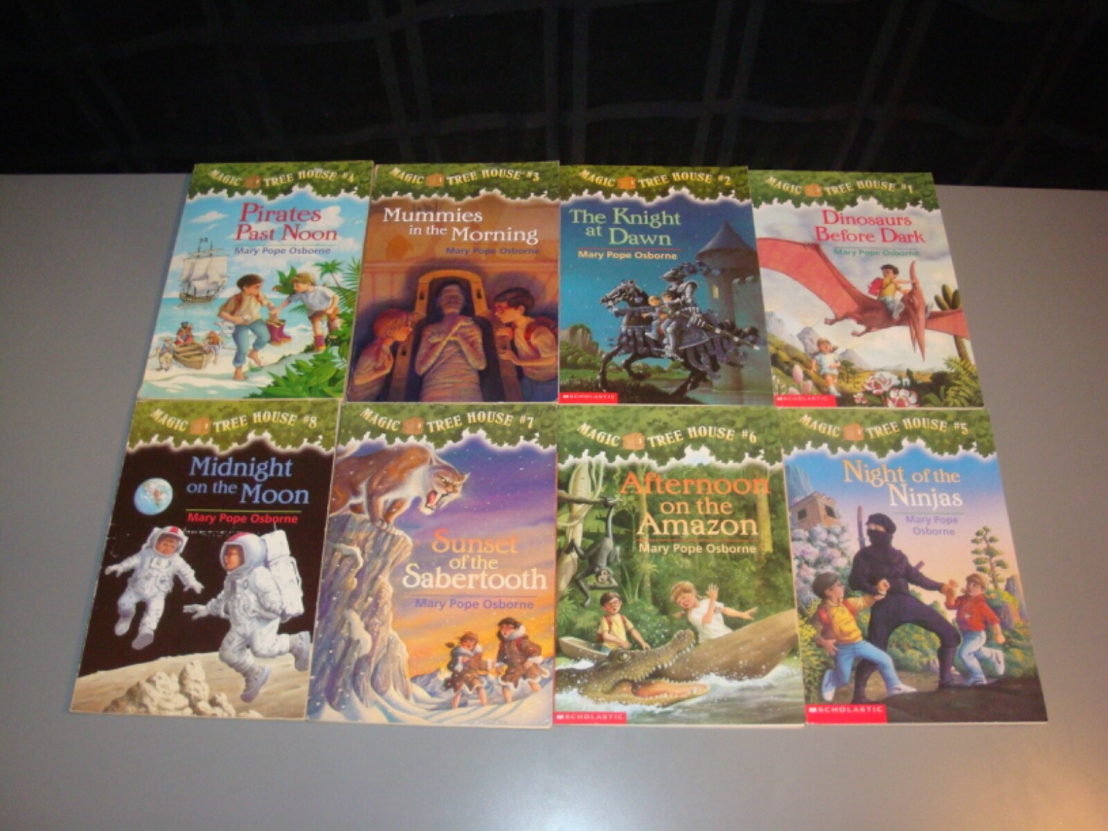 Magic Tree House Series 1-21 Chapter Book Lot Mary Pope Osborne Teacher Class AR