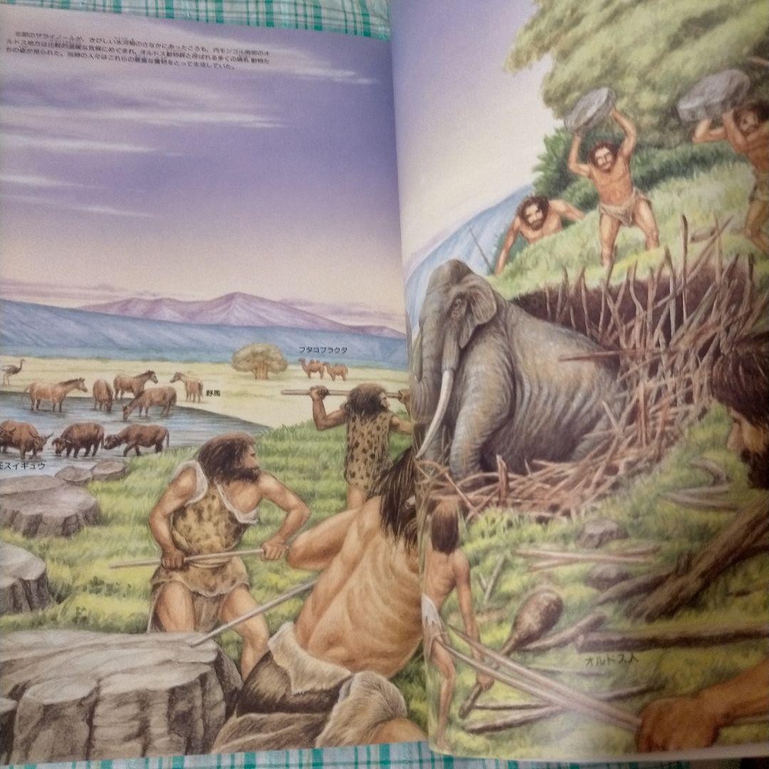 Official Guide Book Dinosaur Expo Fossils Photos China 21cm