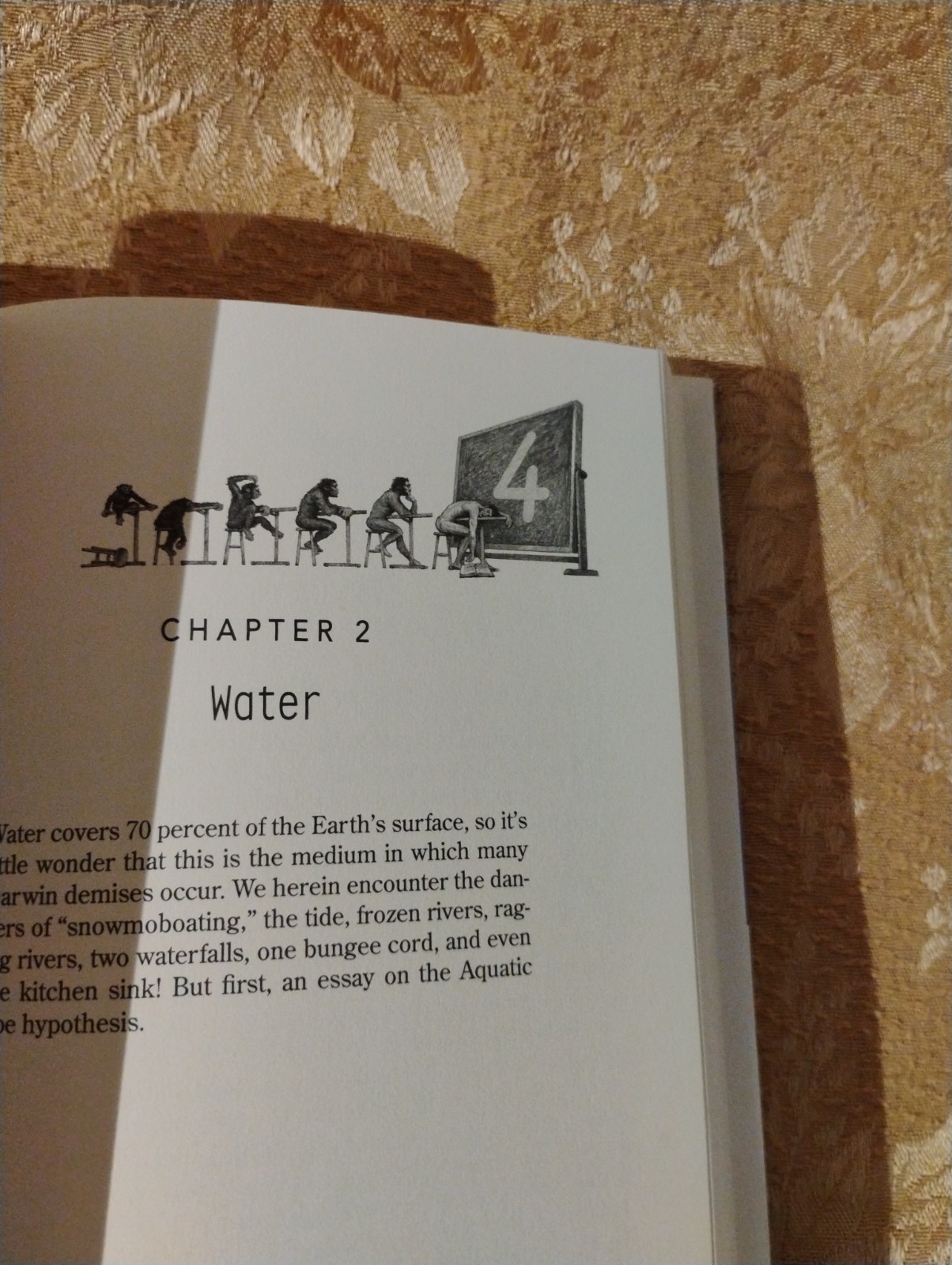 The Darwin Awards 4: Intelligent Design by Wendy Northcutt ~ 2006 Hardcover Book