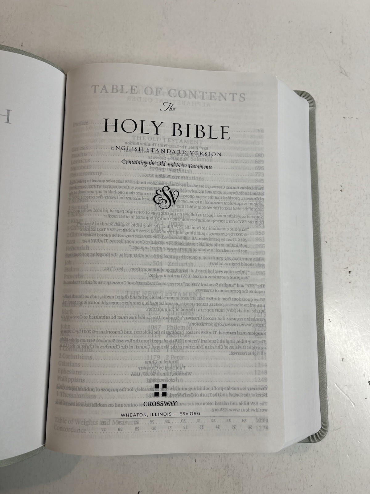 ESV Large Print Value Thinline Bible (Trutone, River Stone, Branch Design)