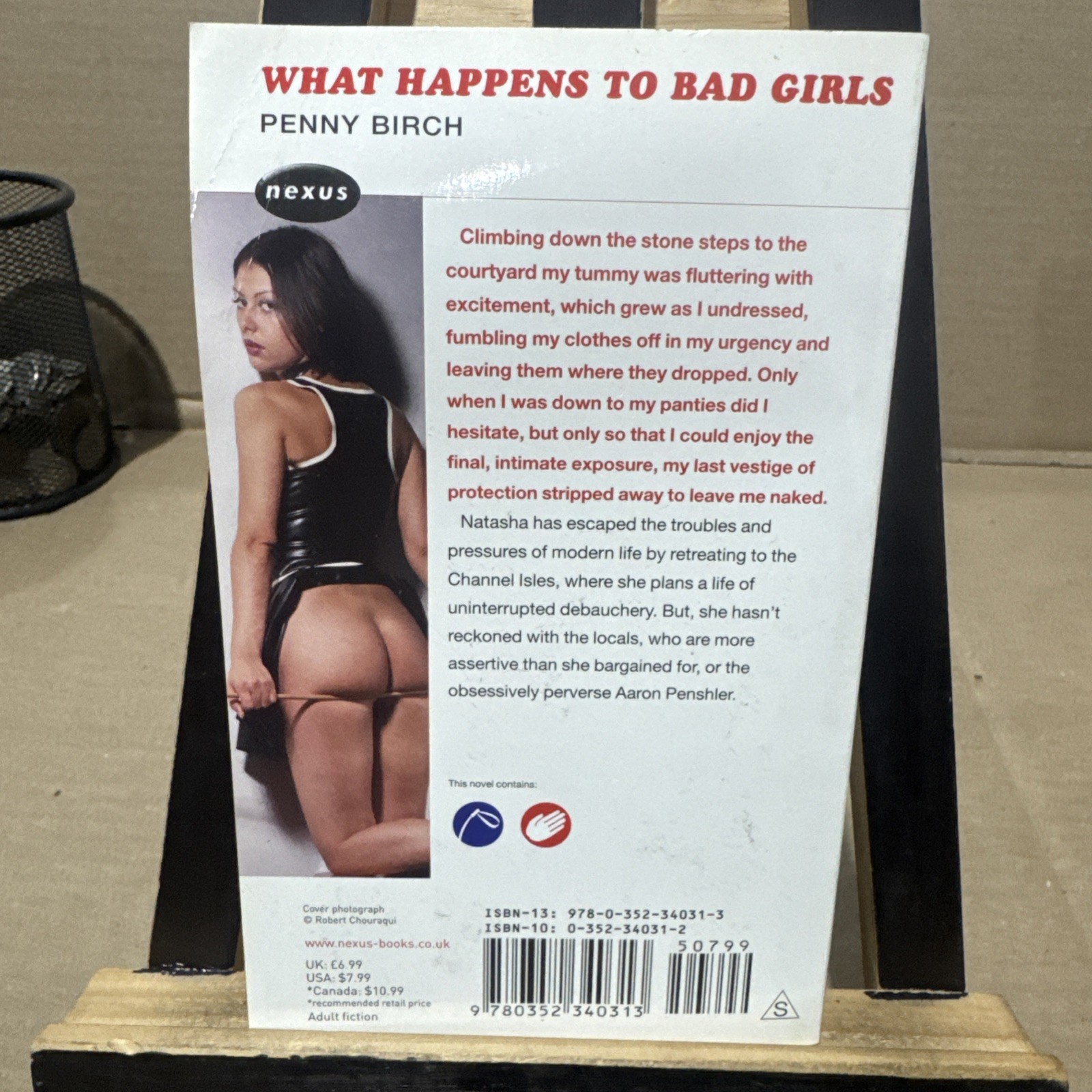 What Happens to Bad Girls by Penny Birch (2006, Mass Market)