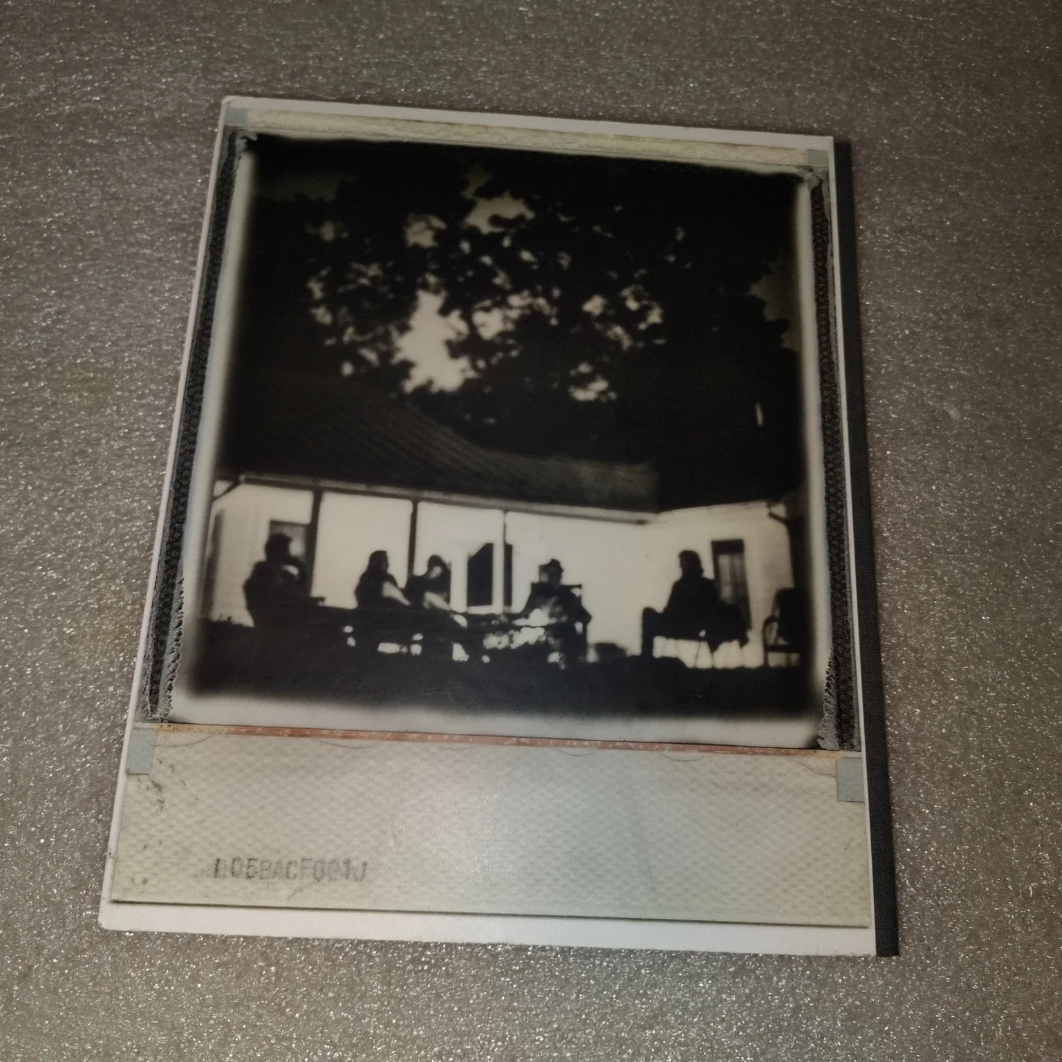 The Lumineers Cleopatra 2015 Tour Photo Book Wesley Schultz Music