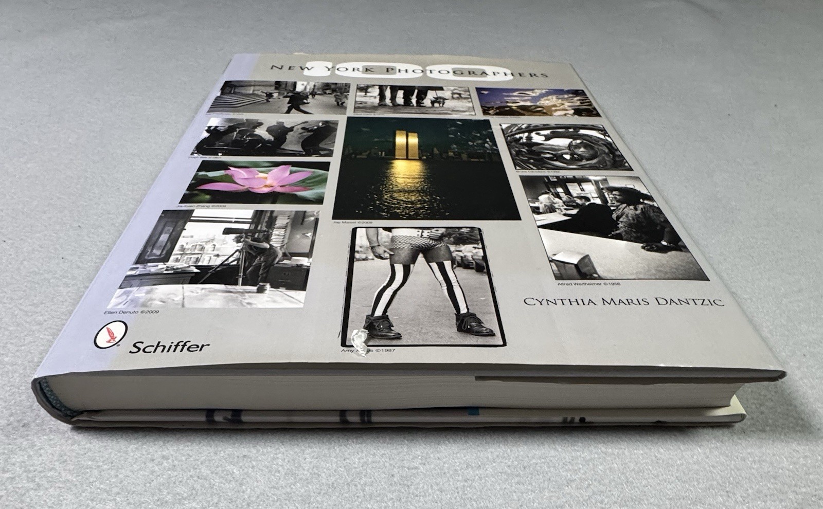 100 New York Photographers by Cynthia Maris Dantzic (2009, Hardcover)