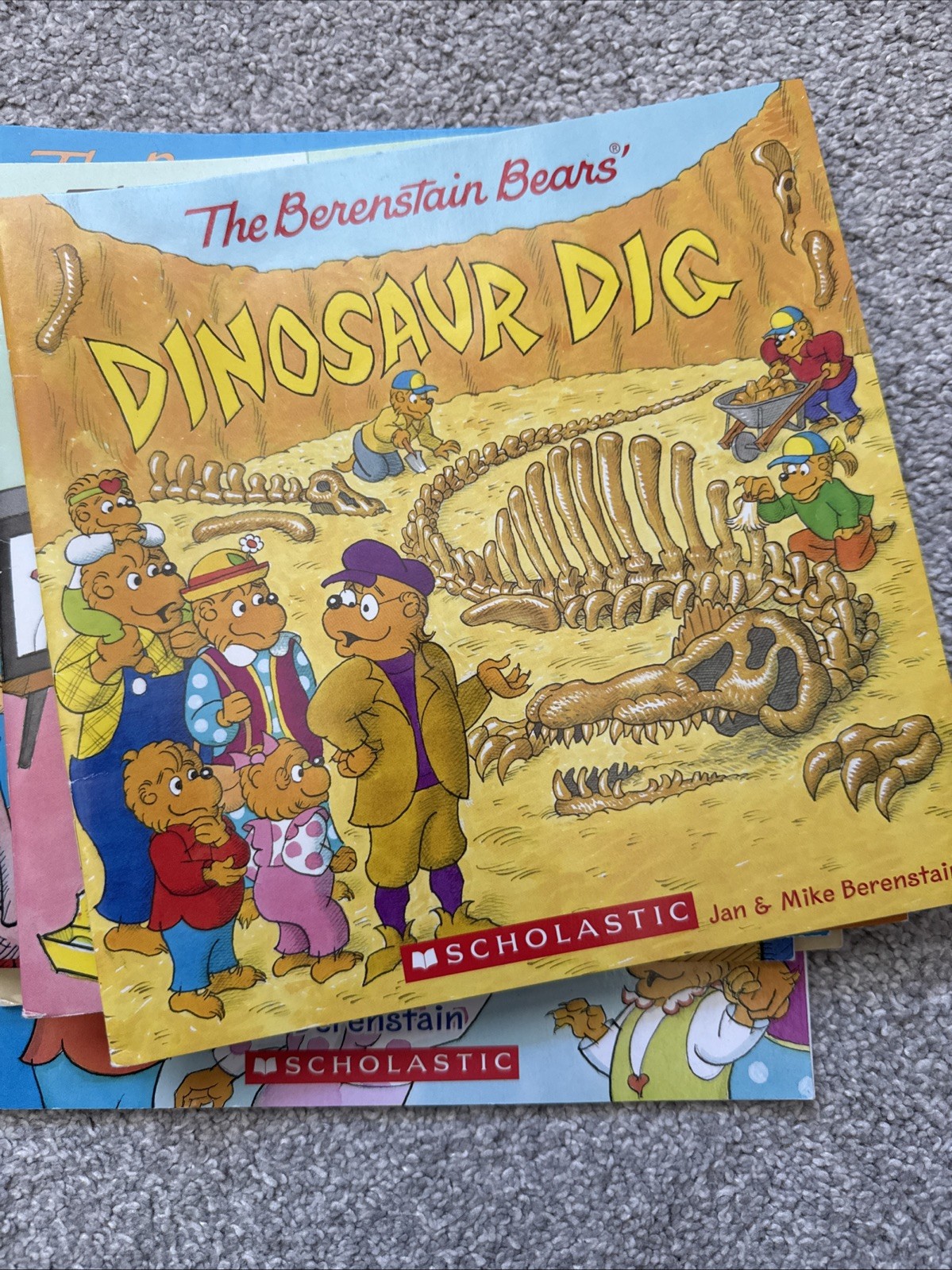 The Berenstain Bears Collection – Set of 9 Books by Stan And Jan Berenstain