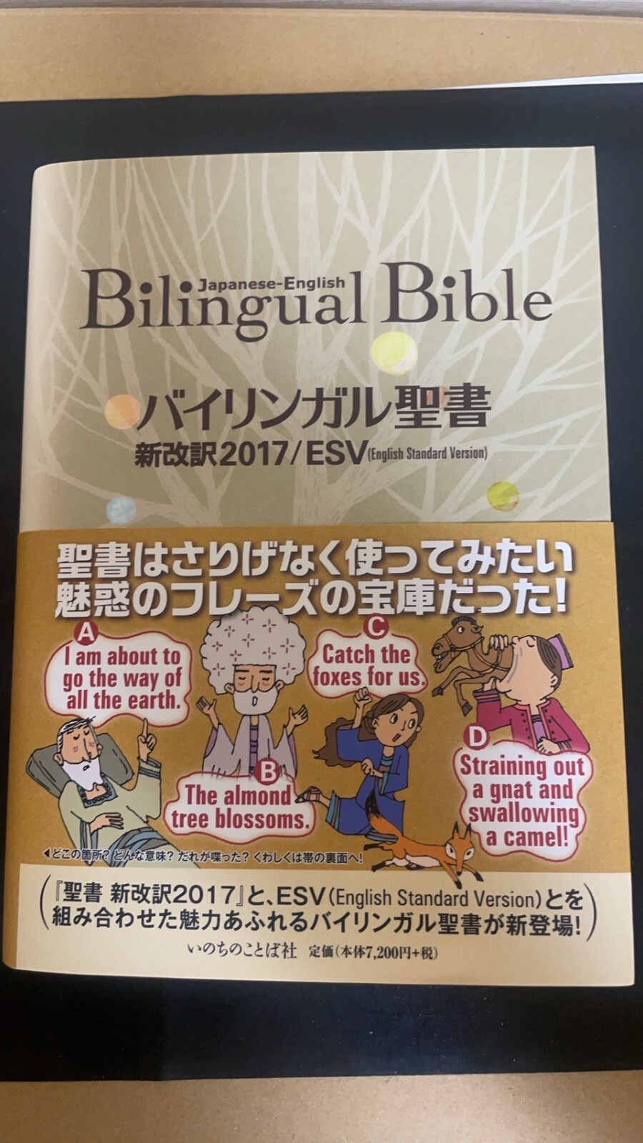 Bilingual Bible Japanese-English Old/New Testament Words of Life ESV in 2017