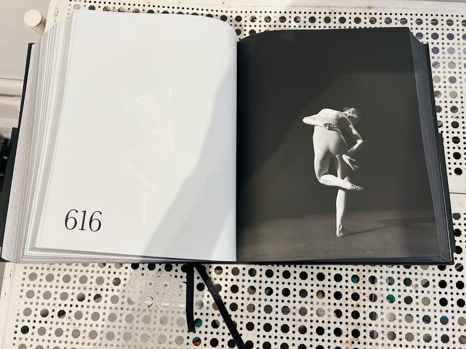 STUDY OF POSE hardcover 1,000 Poses PHOTO BOOK Coco Rocha Steven Sebring ballet